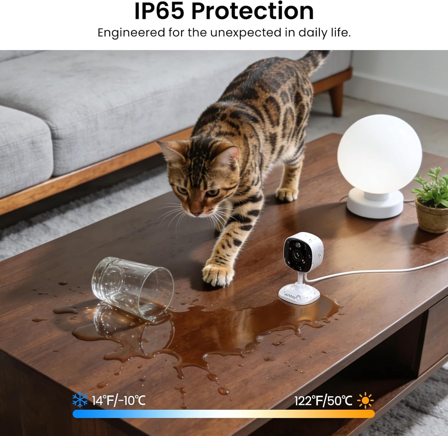 2K Cameras for Home Security-Outdoor/Indoor Camera for Dog/Cat/Pet/Nanny/Baby/Elderly, Color Night Vision, White Light, Siren, 24/7 SD Recordings, Works with Alexa, Plug in (C1-White-2pack-2.4G)