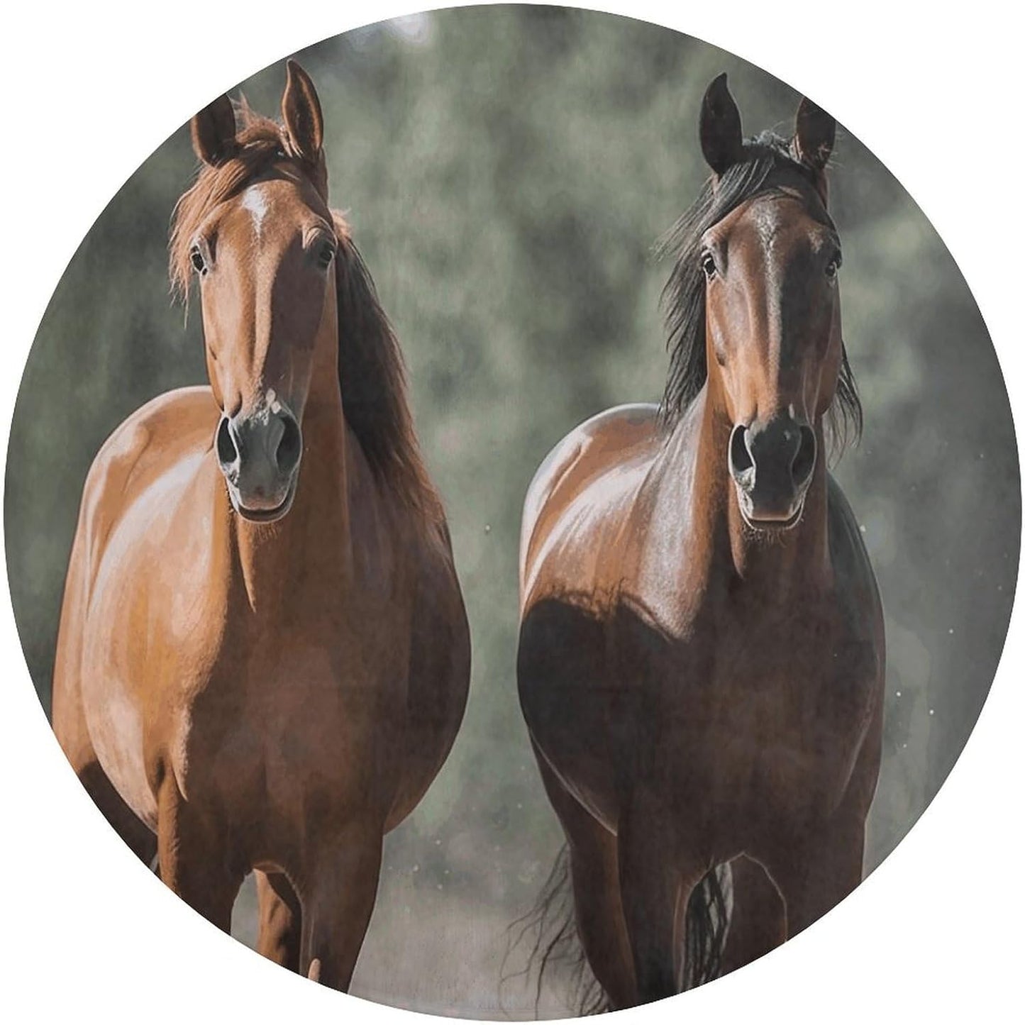Animales Horses Circle Rug Retro Luxury Coral Velvet Floor Mat Non Slip Soft Indoor Floor Carpet Comfy Thickened Area Rugs Modern Aesthetic Minimalist Carpets for Home Decor