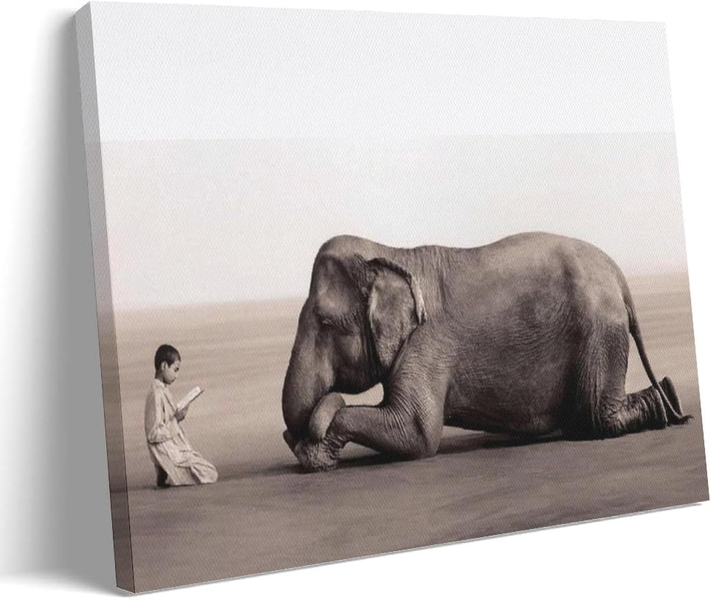 Boy Reading To Elephant Poster Wall Art Paintings Canvas Wall Decor Home Decor Living Room Decor Aesthetic 16x24inch(40x60cm) Frame-style