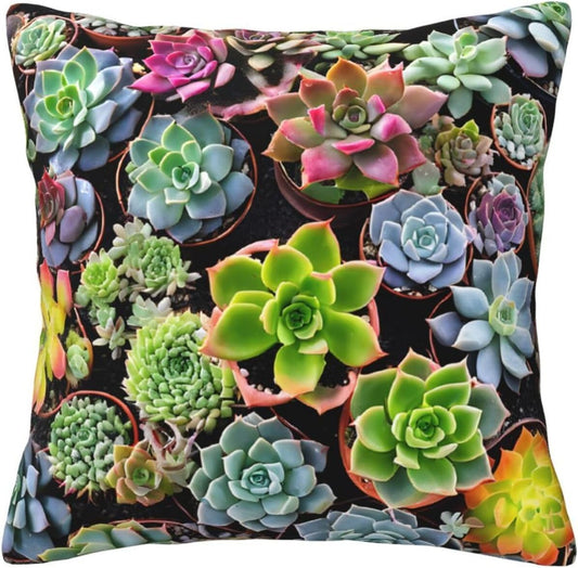 All-Season Square Pillow Covers 18"X18", Colorful Succulent, Decorative Throw Pillow Covers for Sofa Bed Couch, Hidden Zipper Cushion Cover, Square Lumbar & Accent Pillowcases for Home Decor