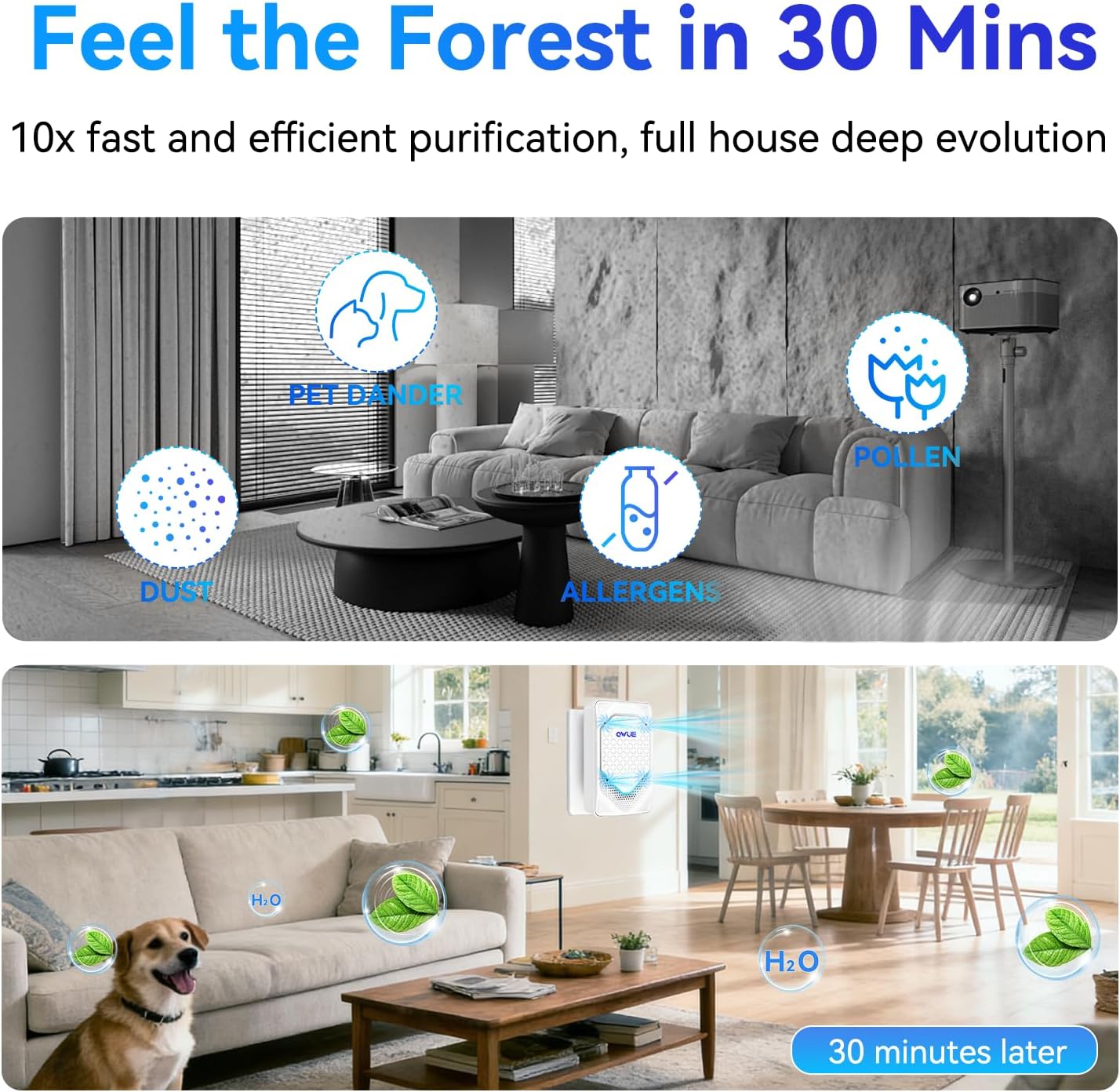 4Pack Plug in Air Ionizer, Negative Ion Air Purifier Plug In, Mini Filterless Air Freshener Quiet Air Cleaner Portable Air Purifiers Odors Smoke for Home Office, Bedroom, Bathroom
