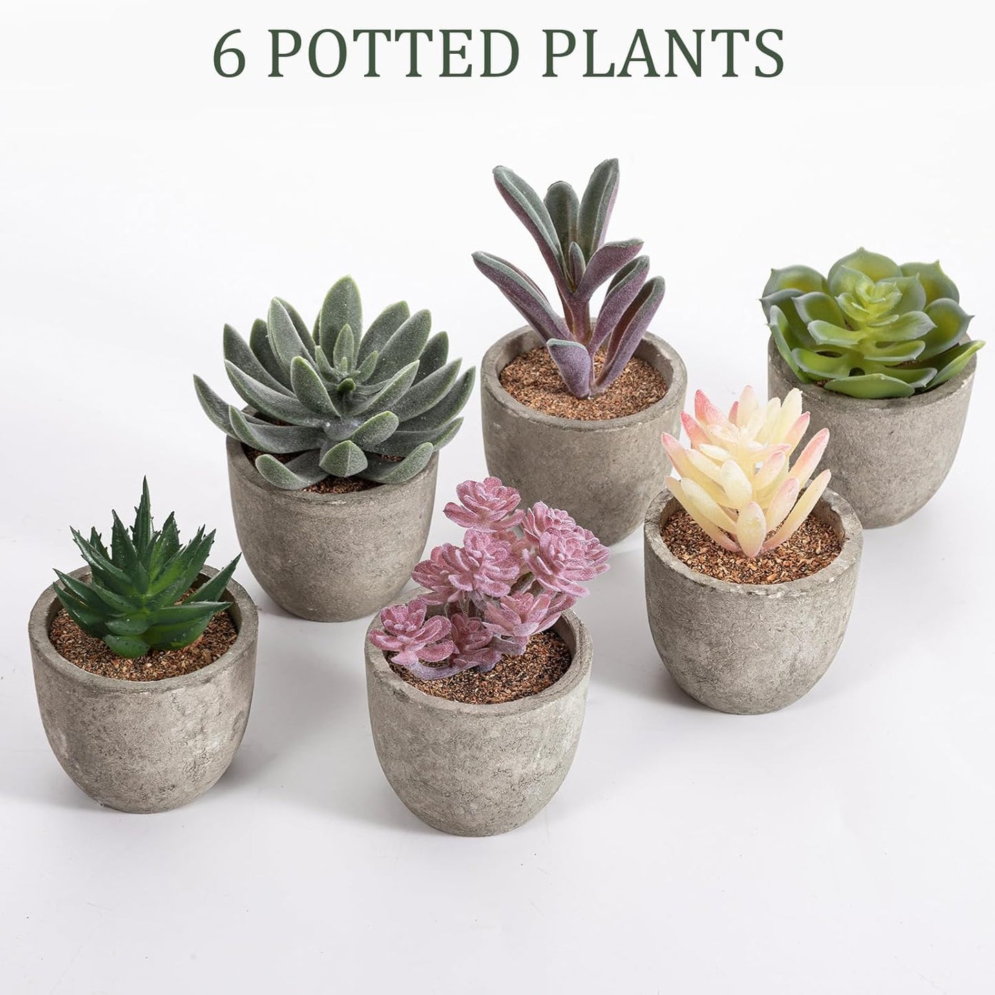 Set of 6 Artificial Succulents Potted - Realistic Mini Fake Cactus Plants in Paper Pulp Pots, 2-4'' Mixed Sizes for Farmhouse Shelf, Bathroom, Coatrack Shelf, Bedroom Indoor(Classic Style)
