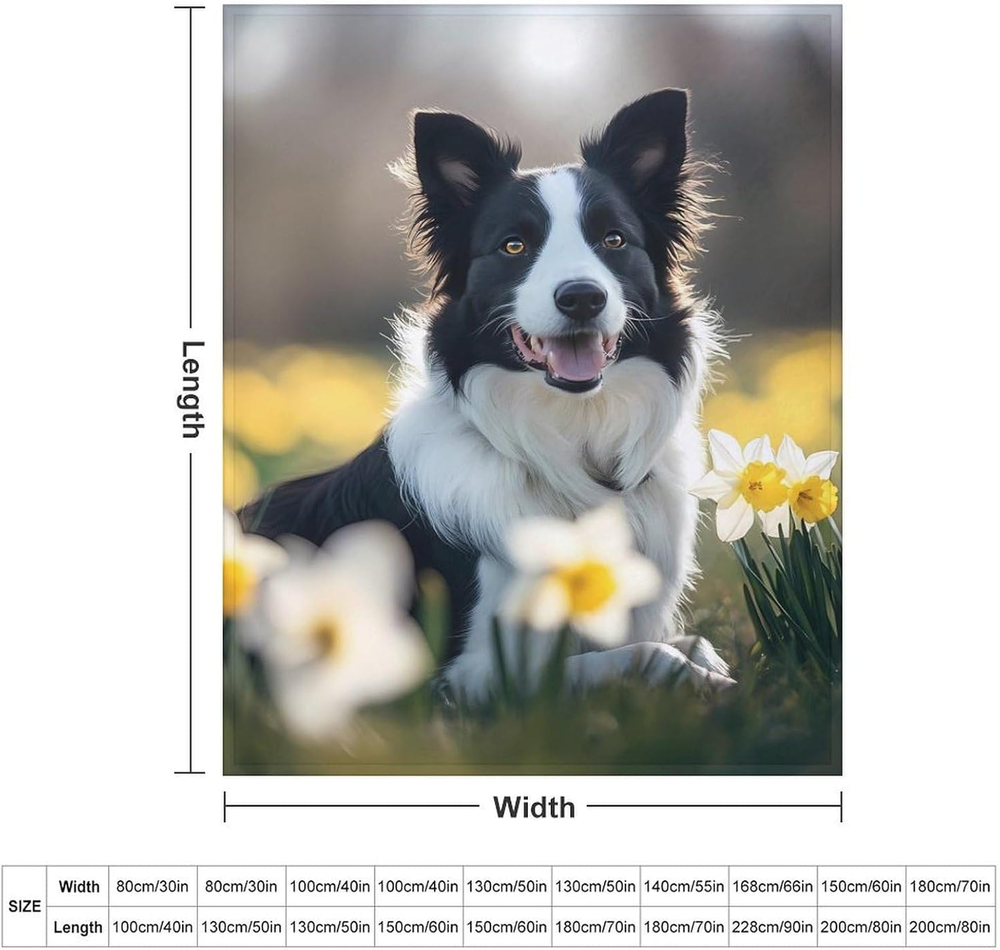 Border Collie Dog Throw Blanket for Couch Bed Plush Cozy Fuzzy Flannel Blanket for All Season 40"x50"