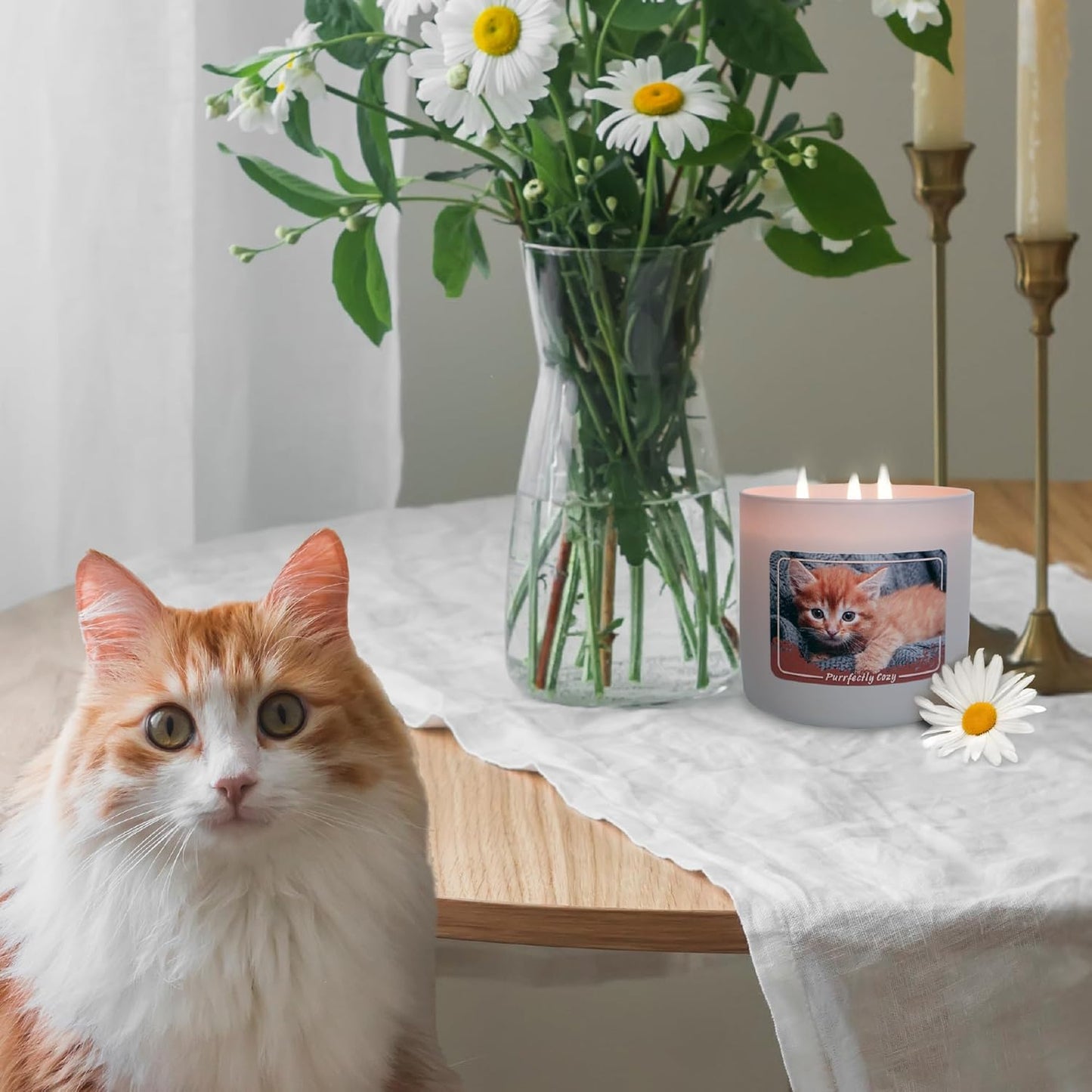 Colonial Candle Purrfectly Cozy Scented Jar Candle, 14 oz - Warm & Comforting Fragrance, Long-Lasting Burn, Made in The USA