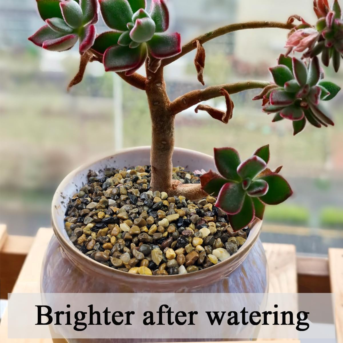 5 lbs Aquarium Gravel, Pea Gravel for Fish Tank,1/4 Inch Decorative River Rocks for Aquarium Succulent Vase Plant Soil Cover and Outdoor Landscaping