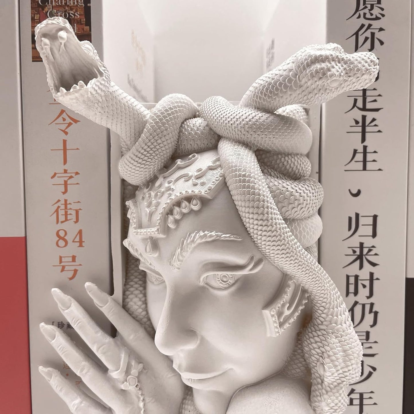 Medusa Head Book Nook, Unique Snake Women Face Decorative Bookends, Heavy Duty Book Stopper for Home Office Desk, Vintage Shelf Decor (White)