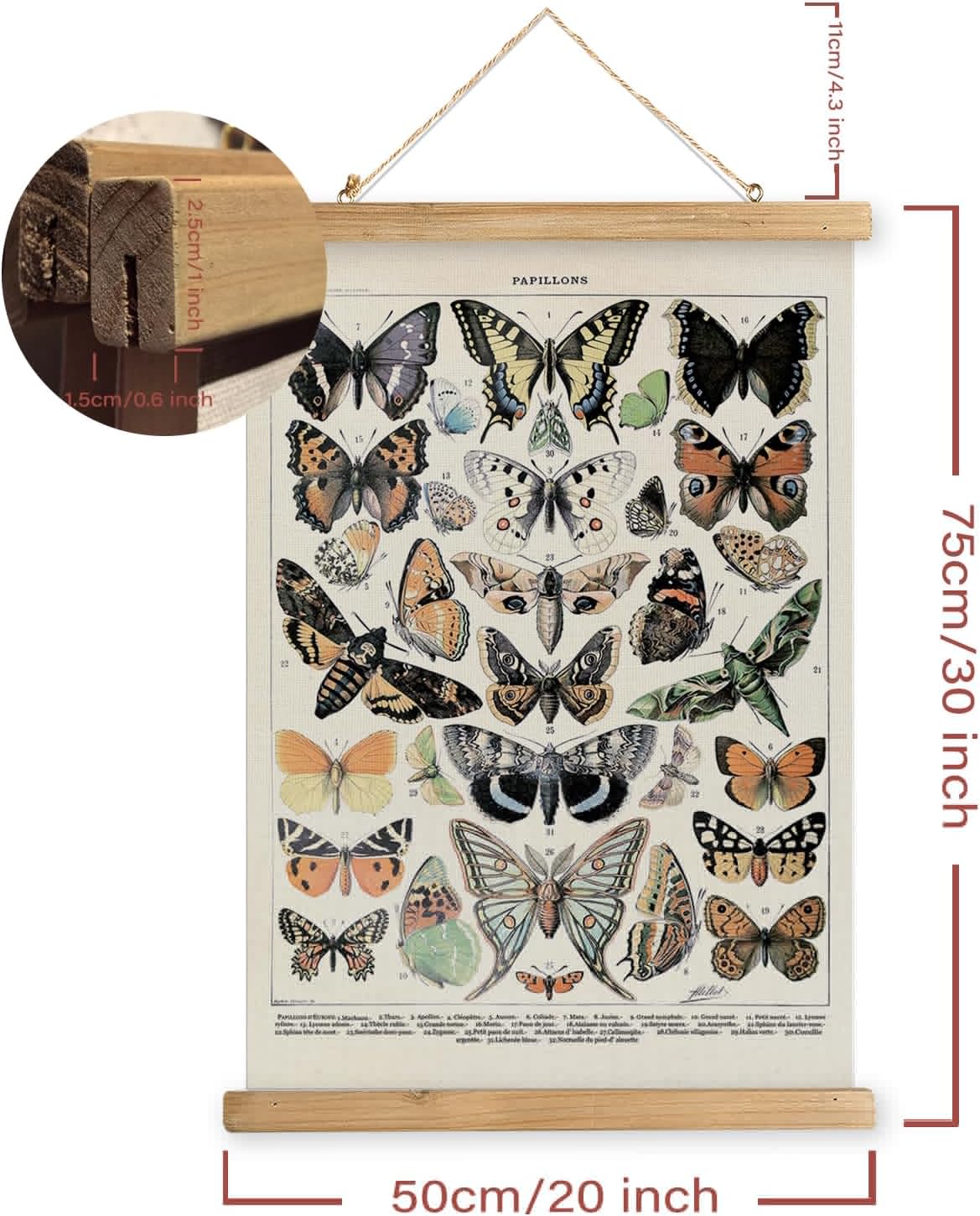 MIDEFINCH Vintage Butterfly Wall Art Poster with Wooden Frame - Natural History Illustration, Papillons Canvas Print, Retro Home Decor for Living Room, Bedroom, Office, 20x30 Inch