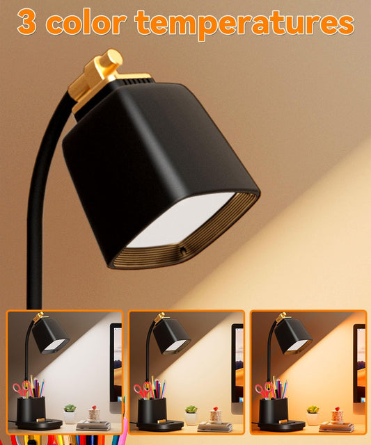 Desk Lamp with USB Charging Ports & Organizer, Small Table Lamps for Home Office/Bedroom/College Dorm Room, Eye-Caring LED Light W/USB Charger for Study/Reading/Artists/Work/Task,Gooseneck Desk Light