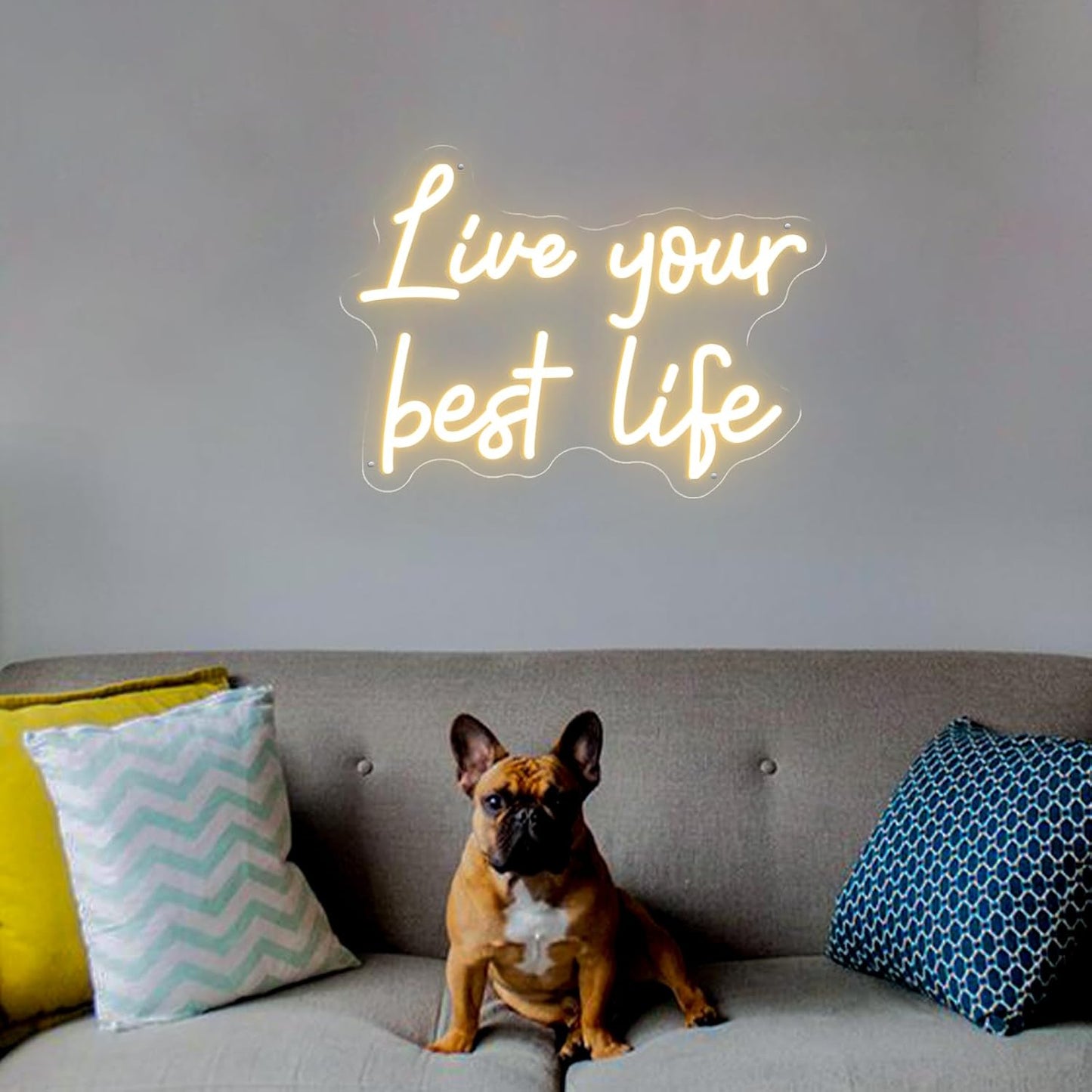 Live Your Best Life Neon Sign Dimmable Led Neon Lights for Wall Decor USB Encouragement Word Neon Light Up Signs for Bedroom Home Bar Office Study Room Wedding Birthday Party Teens Girls Gifts