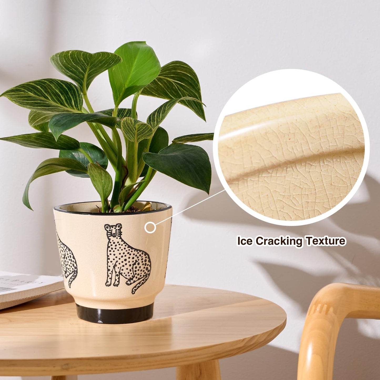 5 Inch Ceramic Planters for Indoor Plants, Funny Small Plant Pots with Drainage, Unique Decorative Cute Flower Pot Panthers Round Flowerpots