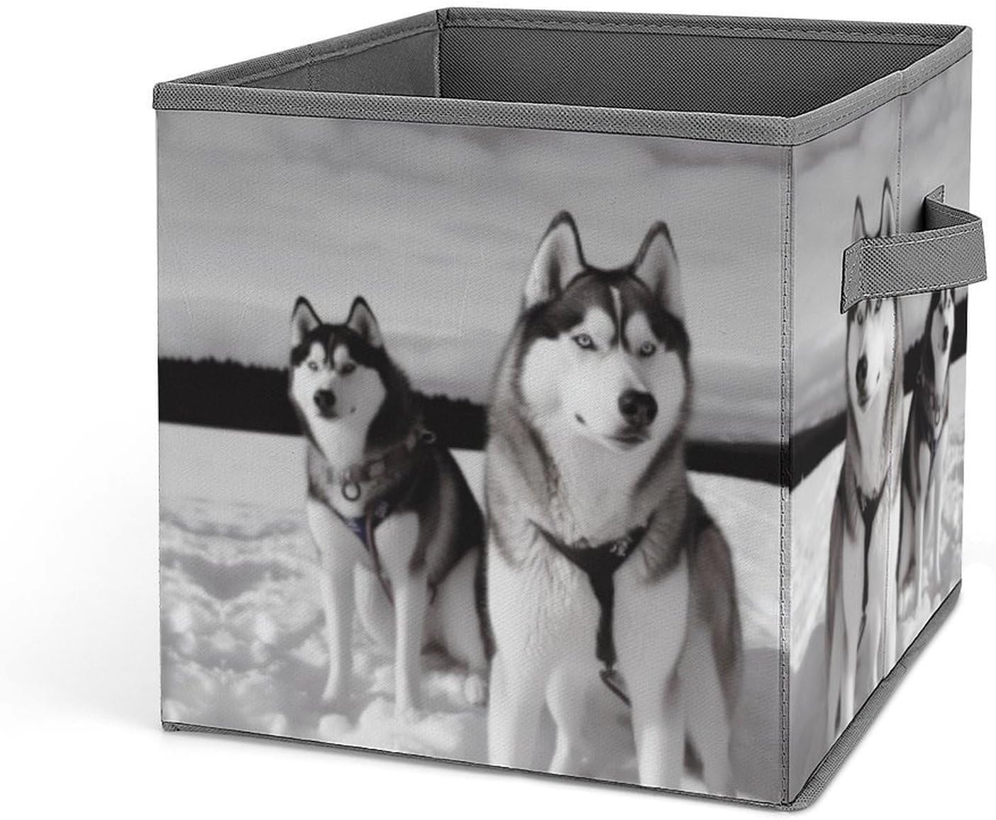 Husky Dogs Snow Storage Bins with Handles Fashion Large Storage Cubes Sturdy Foldable Storage Boxes Space-Saving Storage Baskets for Home Office Clothes Closet Organizers