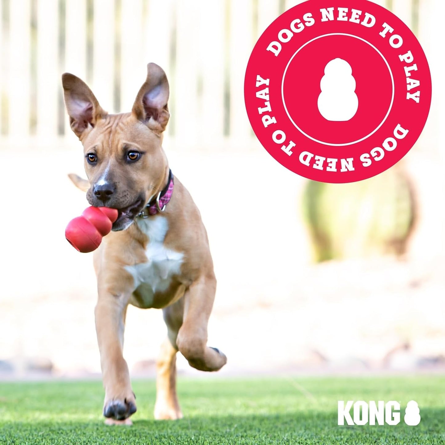 KONG Flyer - Durable Dog Toy for Outdoor Playtime - Natural Rubber Flying Disc, Dog Toy for Fetch - Safer Disc for Healthy Activity - for Medium/Large Dogs