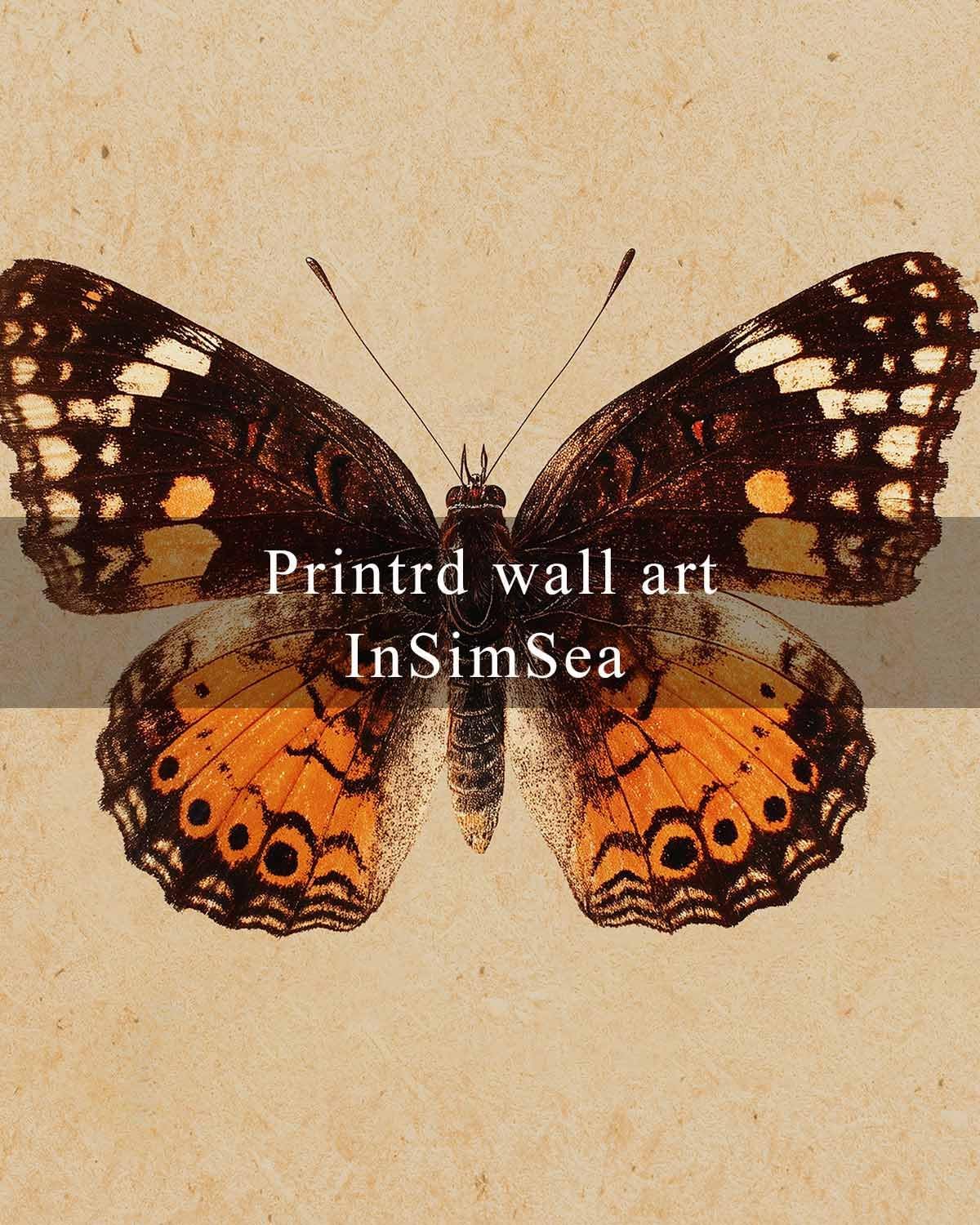 InSimSea Vintage Butterfly Square Canvas Wall Art, Antique Insect Wall Decor Paintings, Cottagecore Moth Artwork Pictures Prints Retro Home Decor for Living Room,Bedroom, Office 12"x12"