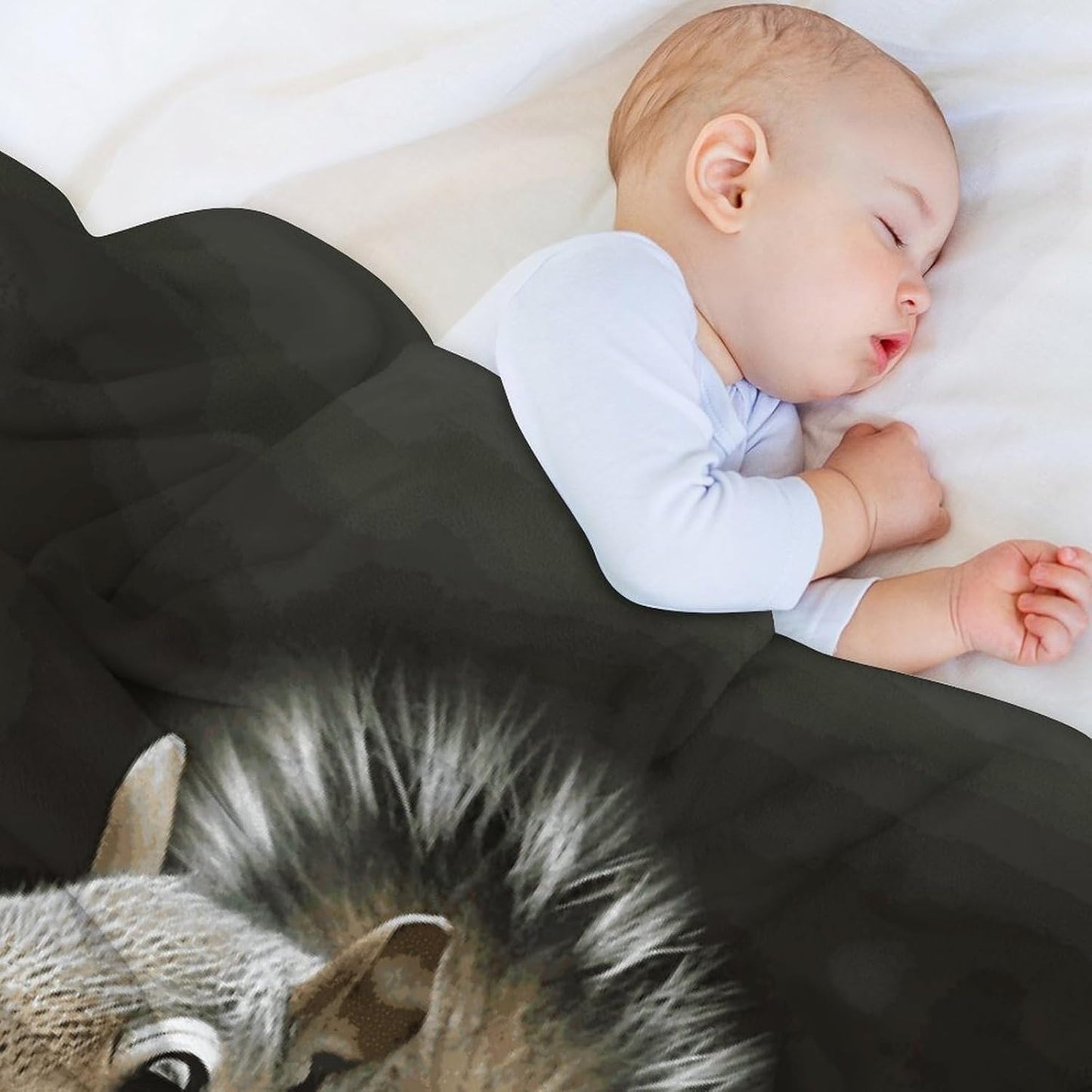 Squirrel Blanket Super Soft Lightweight Throw Blanket Cute Cozy Warm Bed Blanket Decorative Fuzzy Blanket All-Season Home Decor Gift for Sofa Couch Living Room 40"*50" （100 * 130cm）