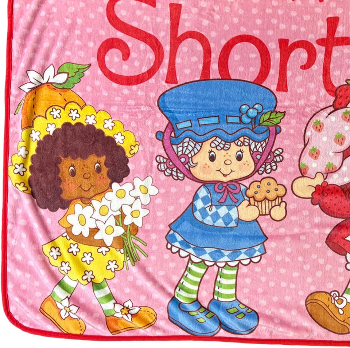 Surreal Entertainment The World of Strawberry Shortcake Blanket Best Friends Plush Fleece Throw 46" x 60"