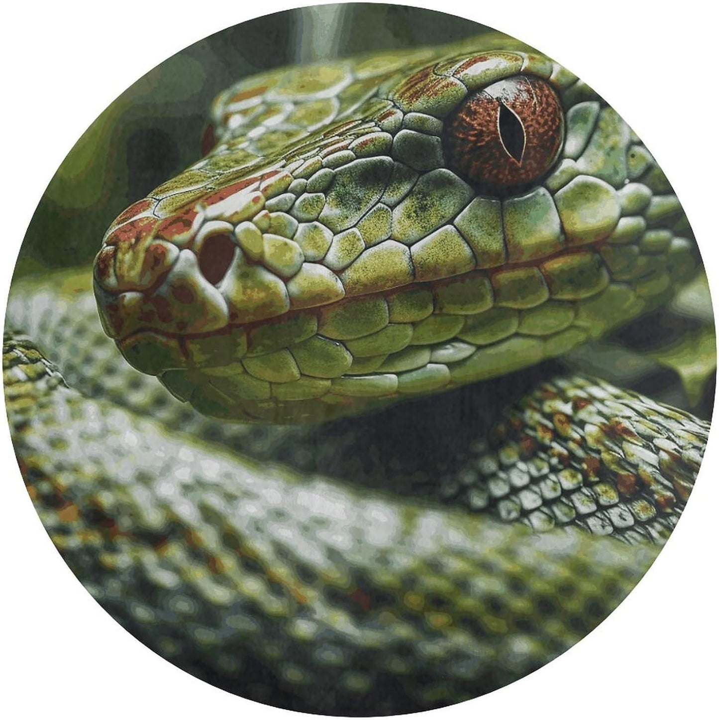 Green Snake Circle Rug Retro Luxury Coral Velvet Floor Mat Non Slip Soft Indoor Floor Carpet Comfy Thickened Area Rugs Modern Aesthetic Minimalist Carpets for Home Decor