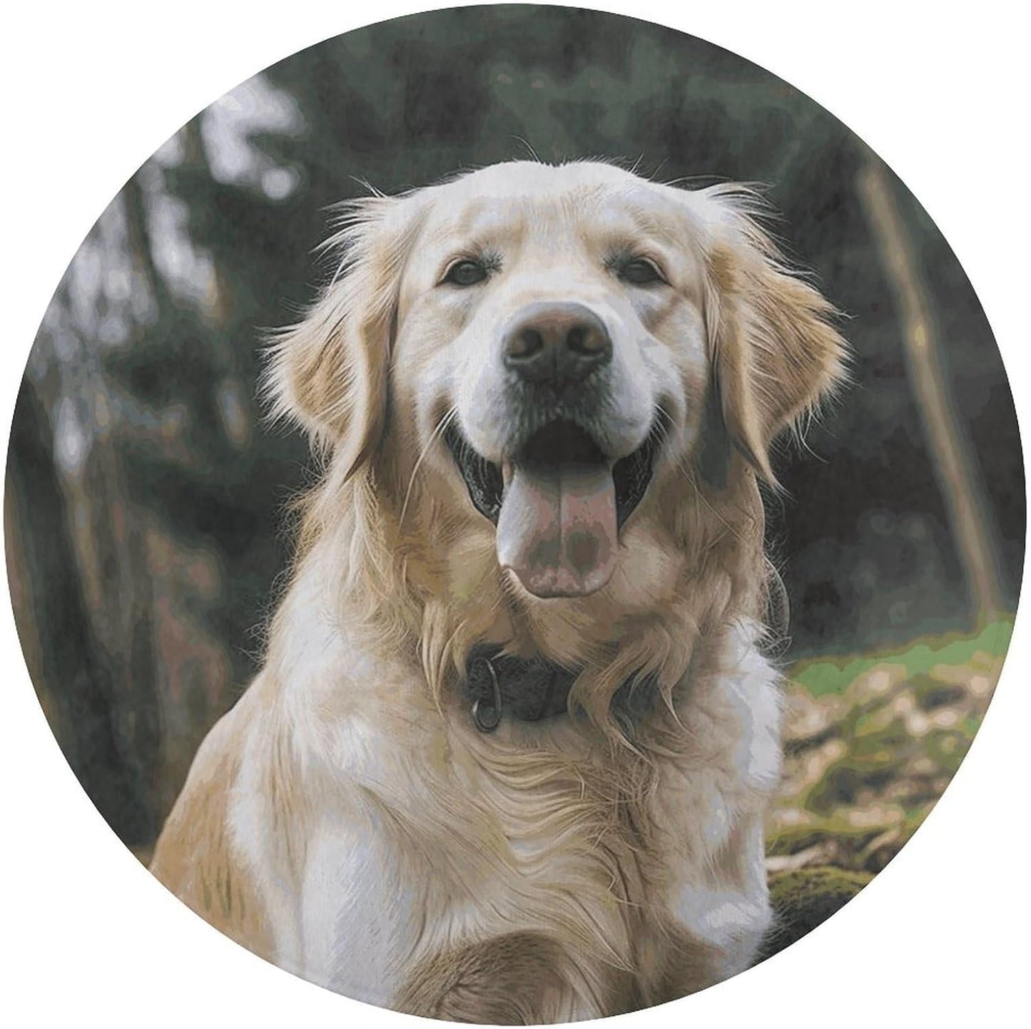 Funny Golden Retriever Circle Rug Retro Luxury Coral Velvet Floor Mat Non Slip Soft Indoor Floor Carpet Comfy Thickened Area Rugs Modern Aesthetic Minimalist Carpets for Home Decor