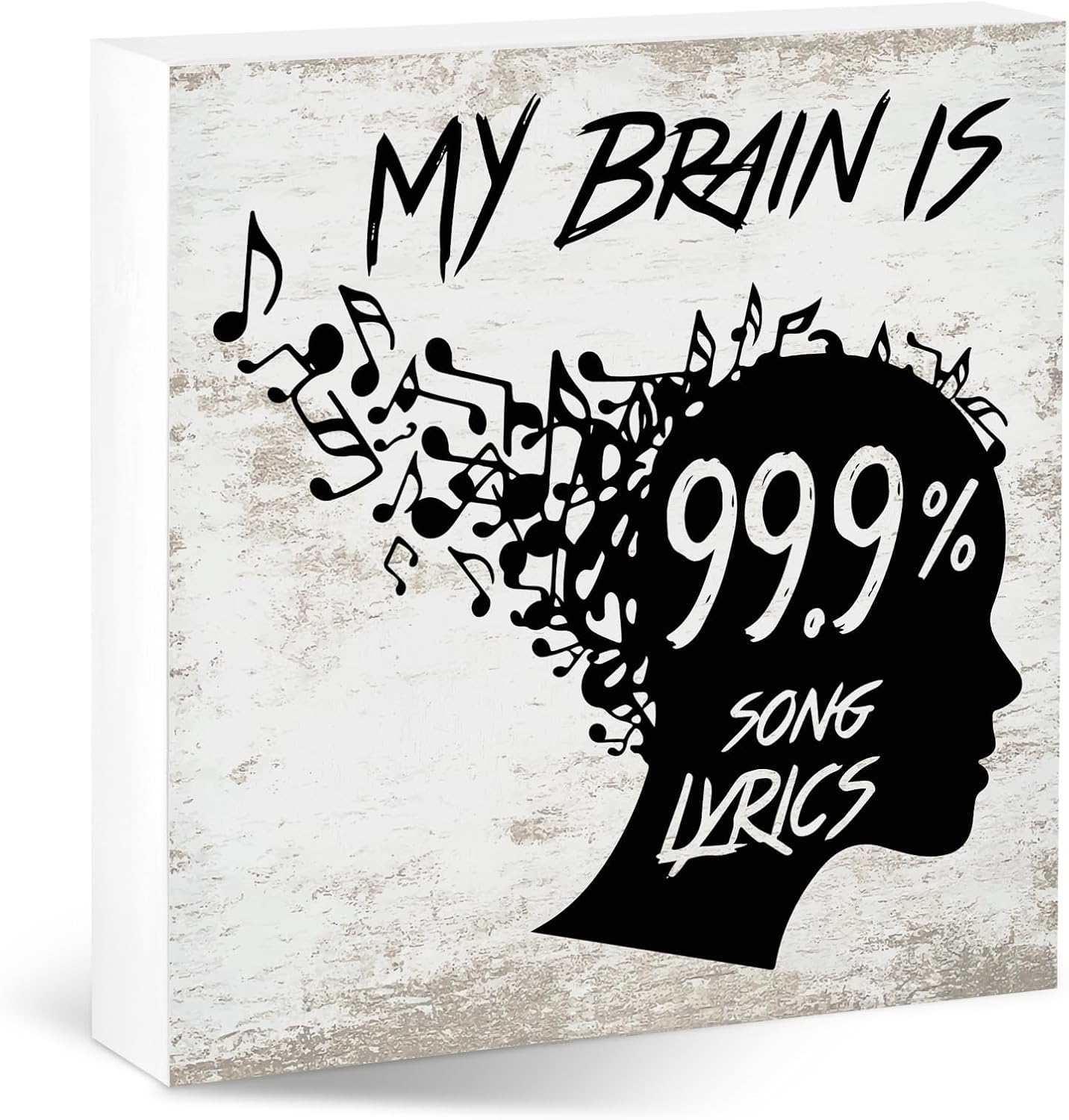 Music Desk Sign for Home Office Classroom, Musical Decor Room Decorations Accessories for Women Men Teacher, Table Shelf Musician Gift, My Brain Is Song Lyrics
