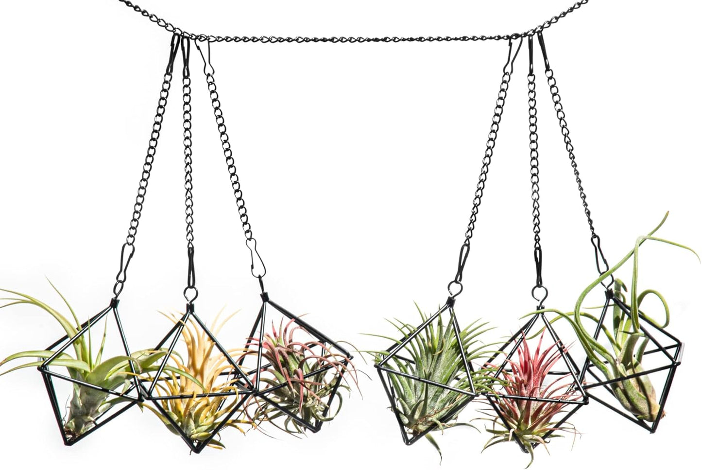 Small Air Plants Holders Black Hanging Airplants Hangers Iron Wire Airferns Display Frame Geometric Tillandsia Air Planter with Chains for Wall Mounted Himmeli Decor 6pcs(No Plants)