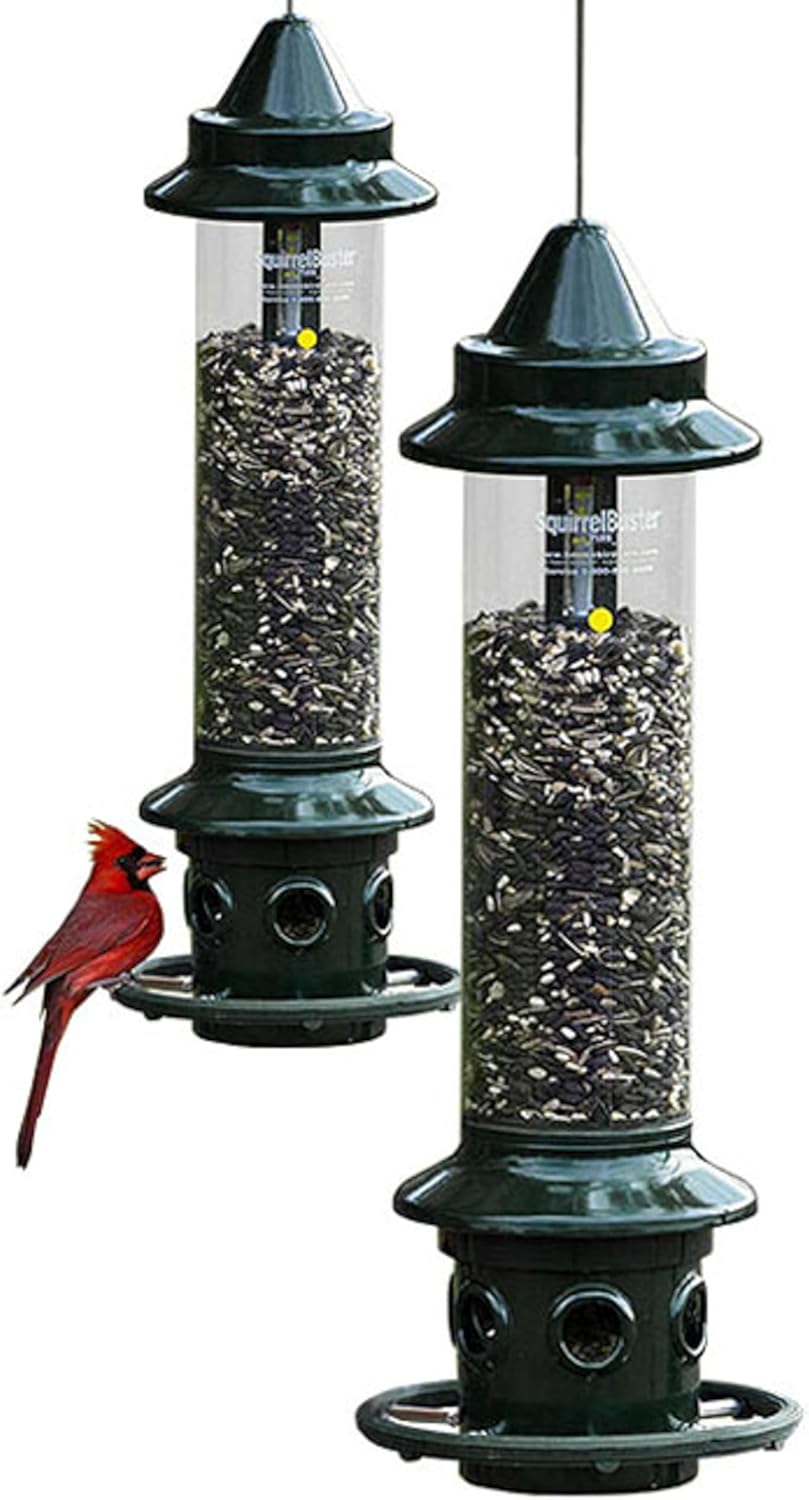Brome,Squirrel Buster Plus 6"x6"x28" (w/hanger) Wild Bird Feeder with Cardinal Ring and 6 Feeding Ports, 5.1lb Seed Capacity, 2 Pack