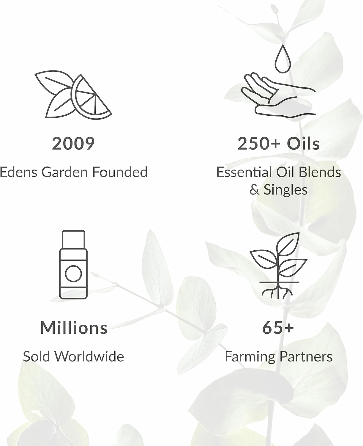 Edens Garden Camellia Seed Carrier Oil- 100% Pure Premium Cold Pressed & Hexane Free, Natural Moisturizer for Face, Skin, Hair, Scalp & Nail Care, Diluting Essential Oils & Massage 118 ml (4 fl oz)