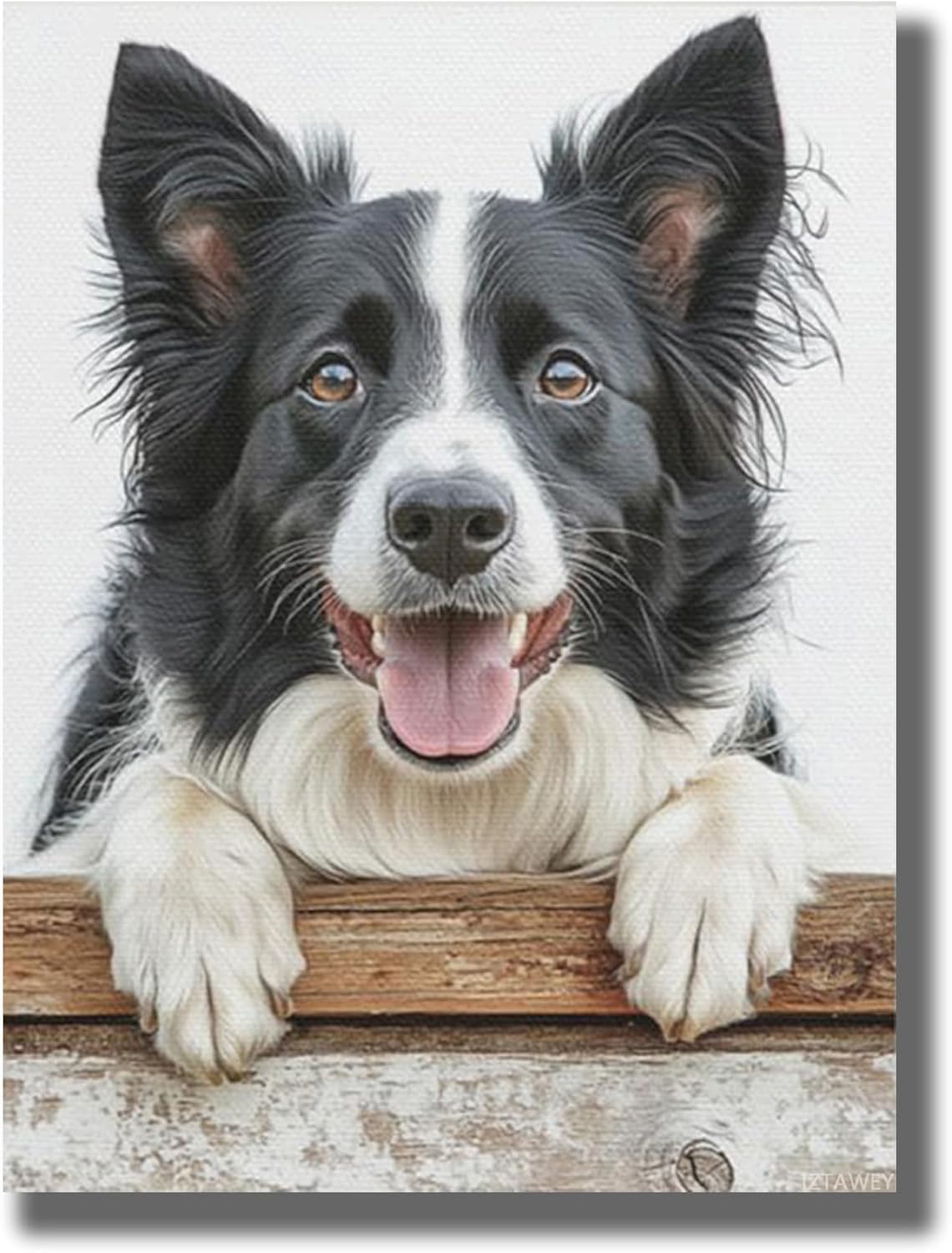 IZTAWEY Border Collie Canvas Oil Art Wall Decor Border Collie with a Playful Smile Modern Oil Painting Canvas Wall Art Hang Ready Gifts for Mom Unframed 12x16inch