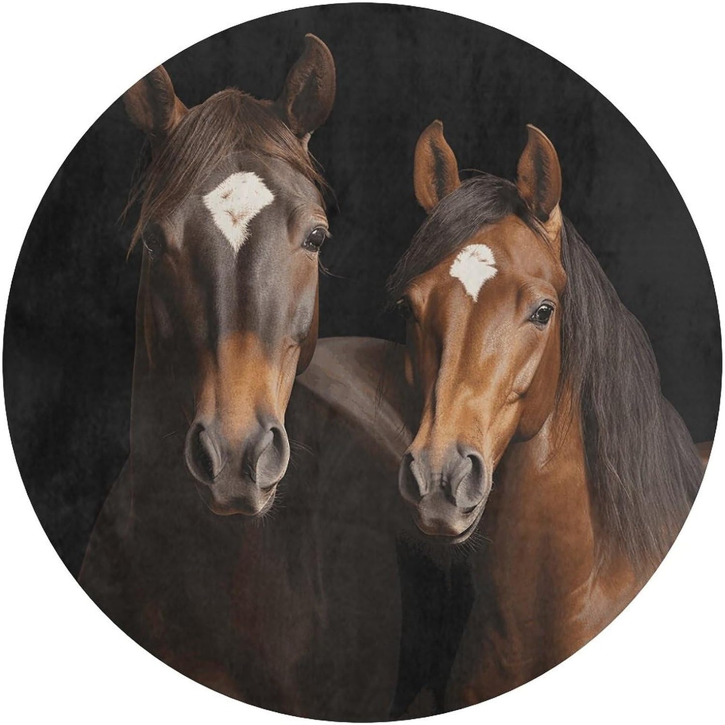 Two Horses Standing on Black Background Circle Rug Retro Luxury Coral Velvet Floor Mat Non Slip Soft Indoor Floor Carpet Comfy Thickened Area Rugs Modern Aesthetic Minimalist Carpets for Home Decor