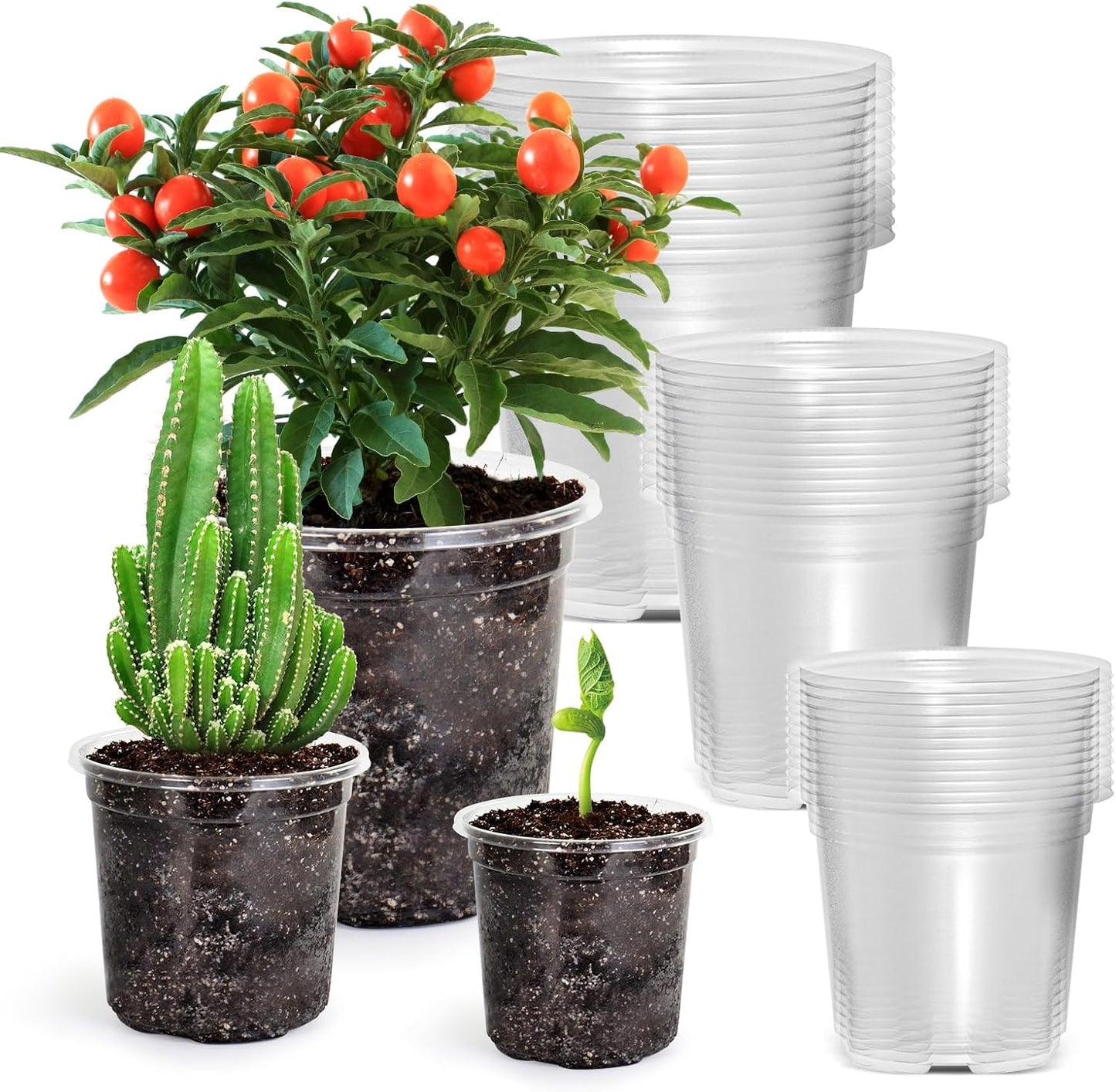 36 Packs 5/4/3.5 Inch Reinforced Clear Nursery Pots with Drainage Hole, Transparent Variety Pack Plastic Plant Pot Seedling Planter for Vegetable Propagation, Root Cutting, Seed Starting