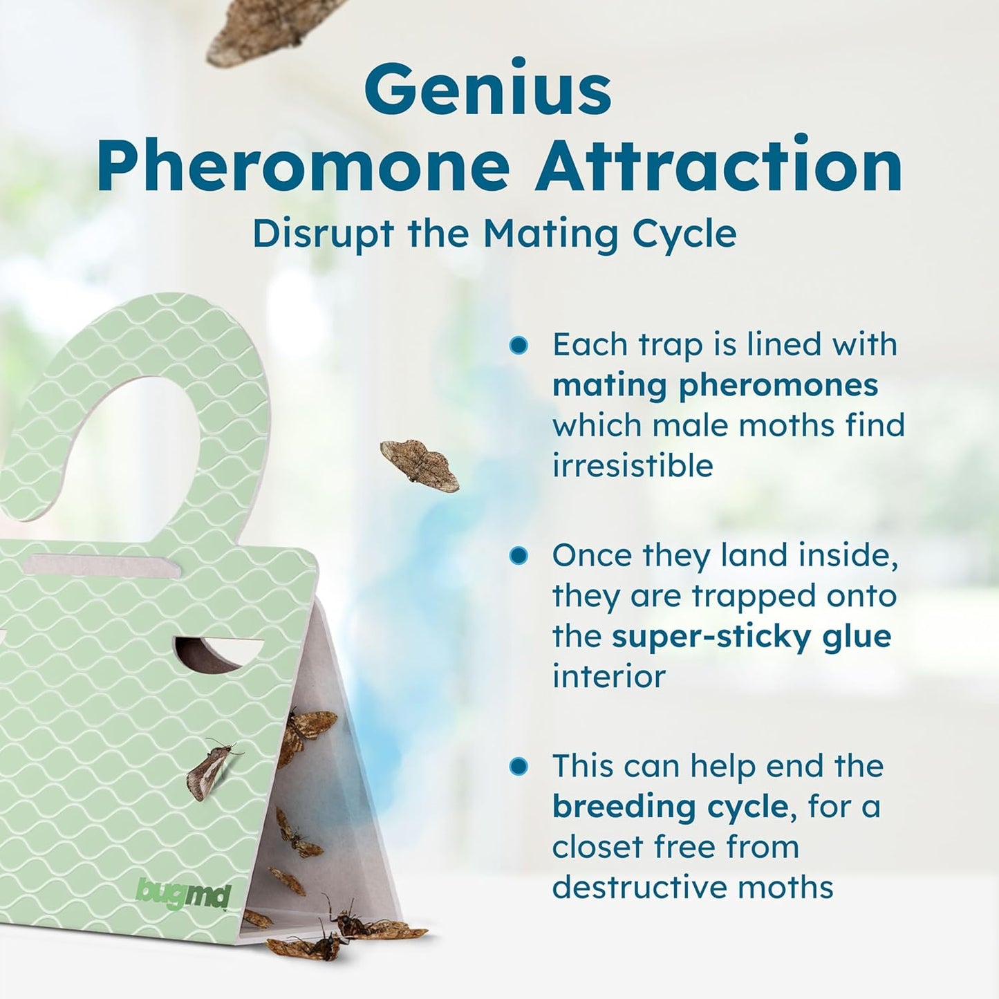 BugMD Clothes & Pantry Moth Traps (6 Count) – Sticky Glue Pheromone-Based Repellent for Closets, Cabinets & Wardrobes – Non-Toxic - Green