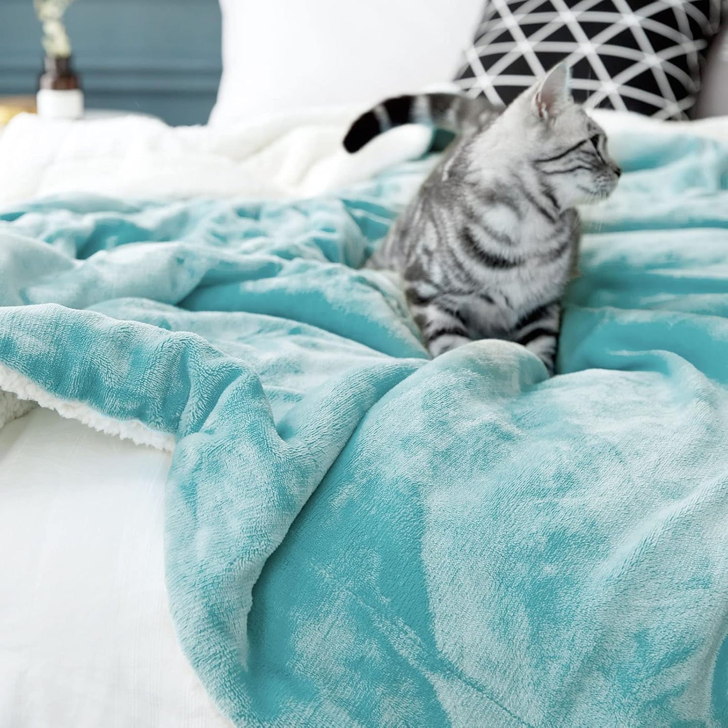 LBRO2M Sherpa Fleece Bed Blanket King Size,Super Soft Fuzzy Plush Warm Cozy Fluffy Microfiber Couch Throw Velvet Double Reversible Luxurious Blankets (Turquoise, King(90x104 Inches))