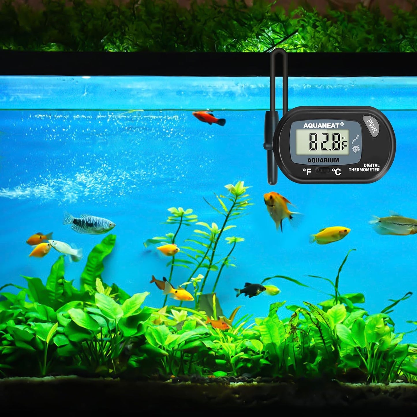 AQUANEAT 2 Pack Aquarium Thermometer, Fish Tank Thermometer, Digital Temperature Test, with Large LCD Display
