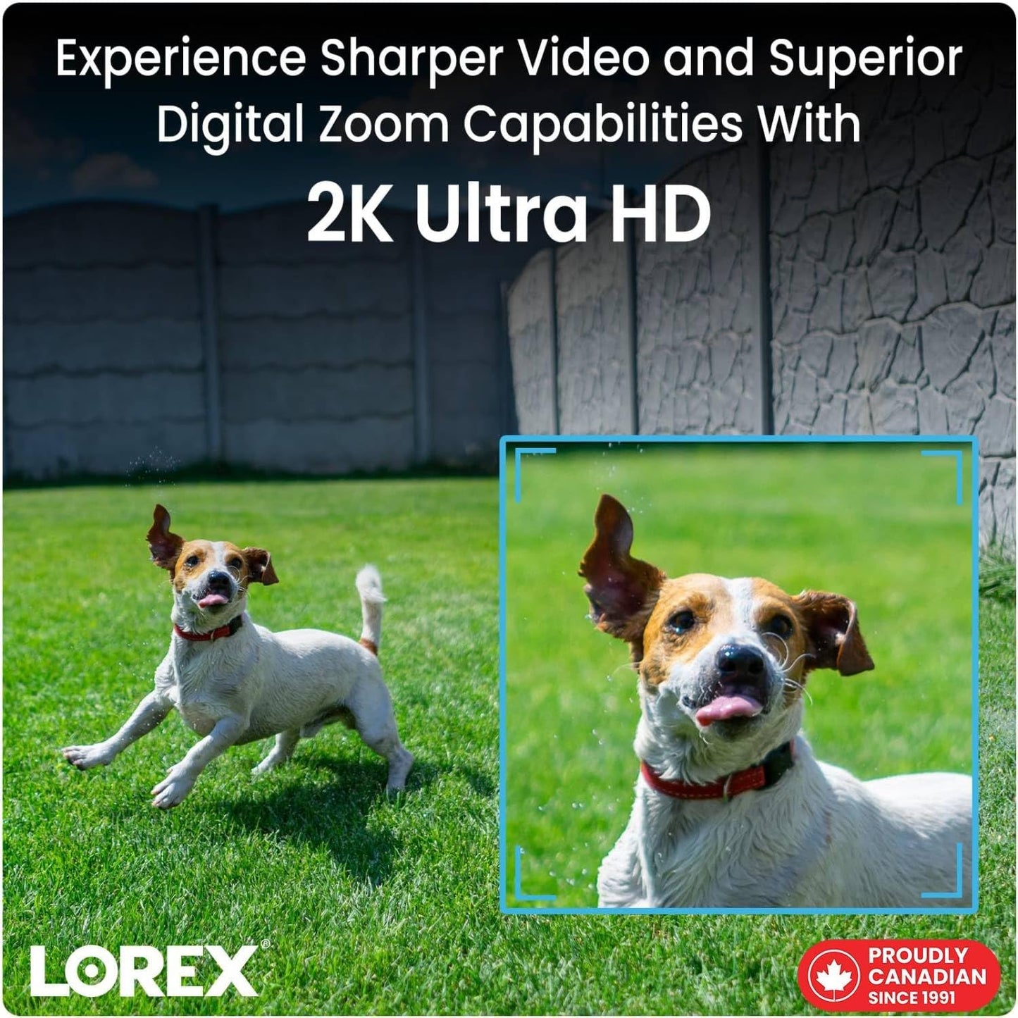 Lorex Pan & Tilt Indoor Wi-Fi Security Camera | 360° Pan & Tilt | Person Detection | Two-Way Talk | Person Detection | IR Night Vision | No Monthly Fee | Pre-Installed 16GB MicroSD