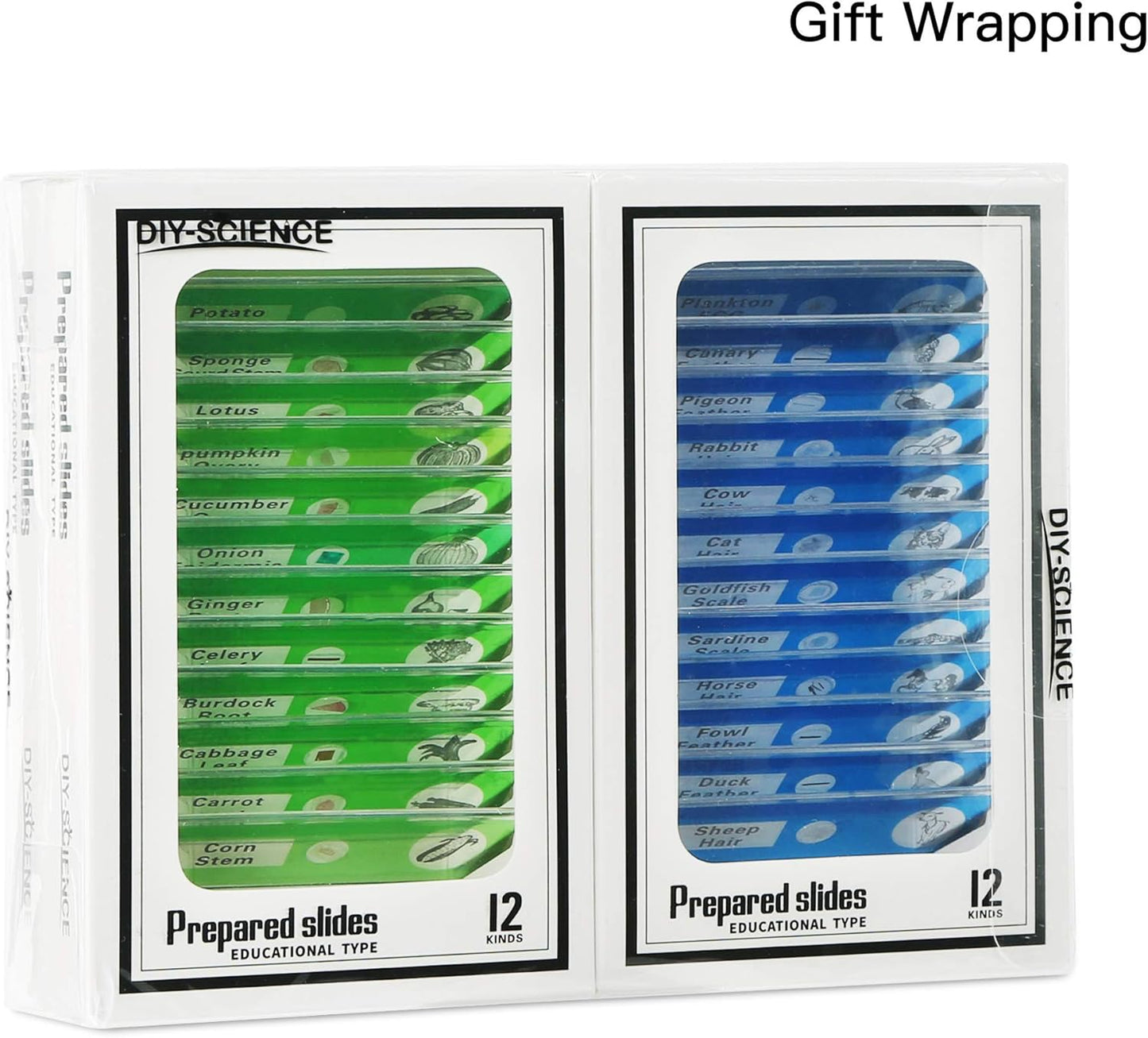48 Prepared Microscope Slides Set of Animals Insects Plants Flowers, Biological Learning Resource Specimens for Kids Beginner Classroom Basic Science Education