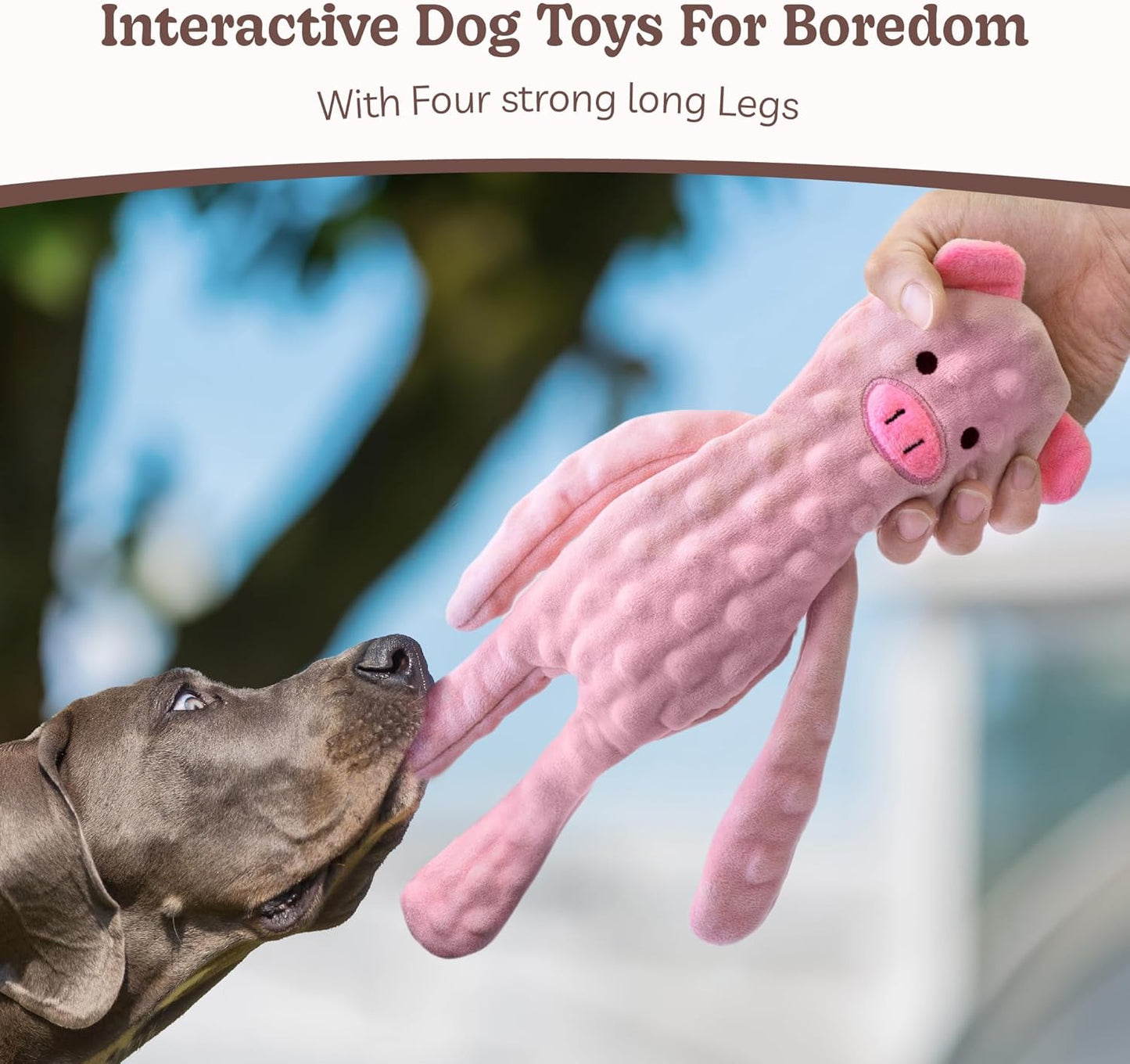 SHARLOVY No Stuffing Dog Toys 5 Pack, Crinkle Interactive Dogs Toy for Boredom, Puppy Toys for Teething to Keep Them Busy, Cute Squeaky Dogs Toy for Small, Medium, and Large Breed