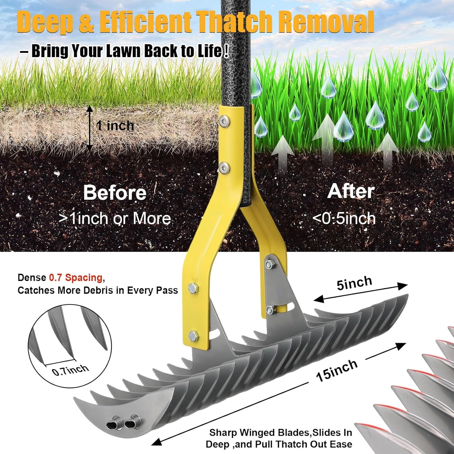 Dual-Action Thatch Rake for Lawn – Efficient 15" Thatching Rake with Sharp Dethatching Blade,Manual Dethatcher & Scarifier Tool for Dead Grass Removal,Soil Loosening,Garden Yard Lawn Care,55" Long