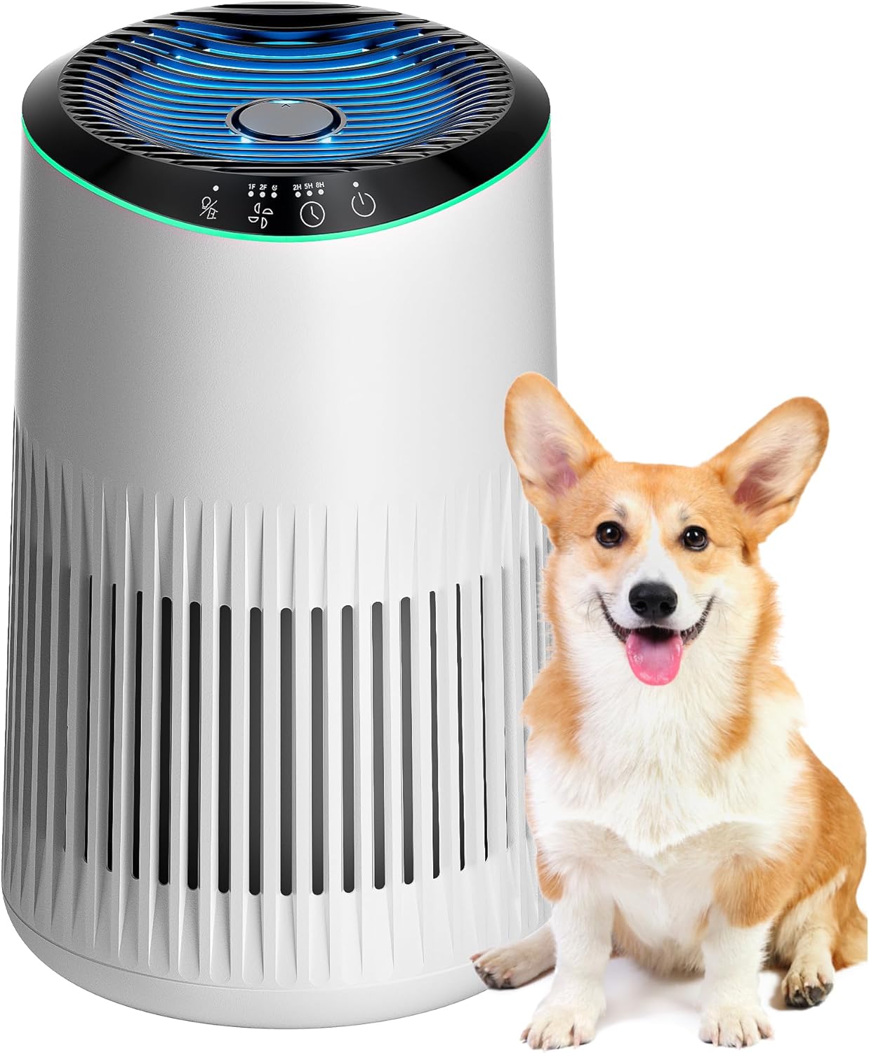 Air Purifiers for Bedroom Home, Air Purifier for Smoke Odors with Fragrance Sponge, Small Air Purifier with Sleep Mode for Bedroom Office, Blue Night Light, Ivory, 1 Pack+3 Modes