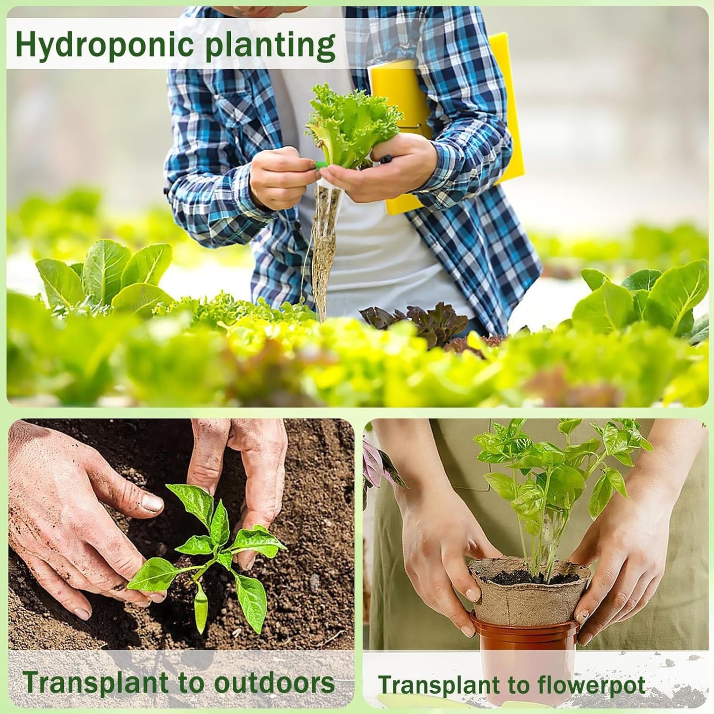 DECYOOL Garden Seed Pods, 48pcs Hydroponic Pods Kit:Grow Anything Kit with 12 Grow Baskets,12 Grow Sponges, 12 Pod Labels,12 Grow Domes