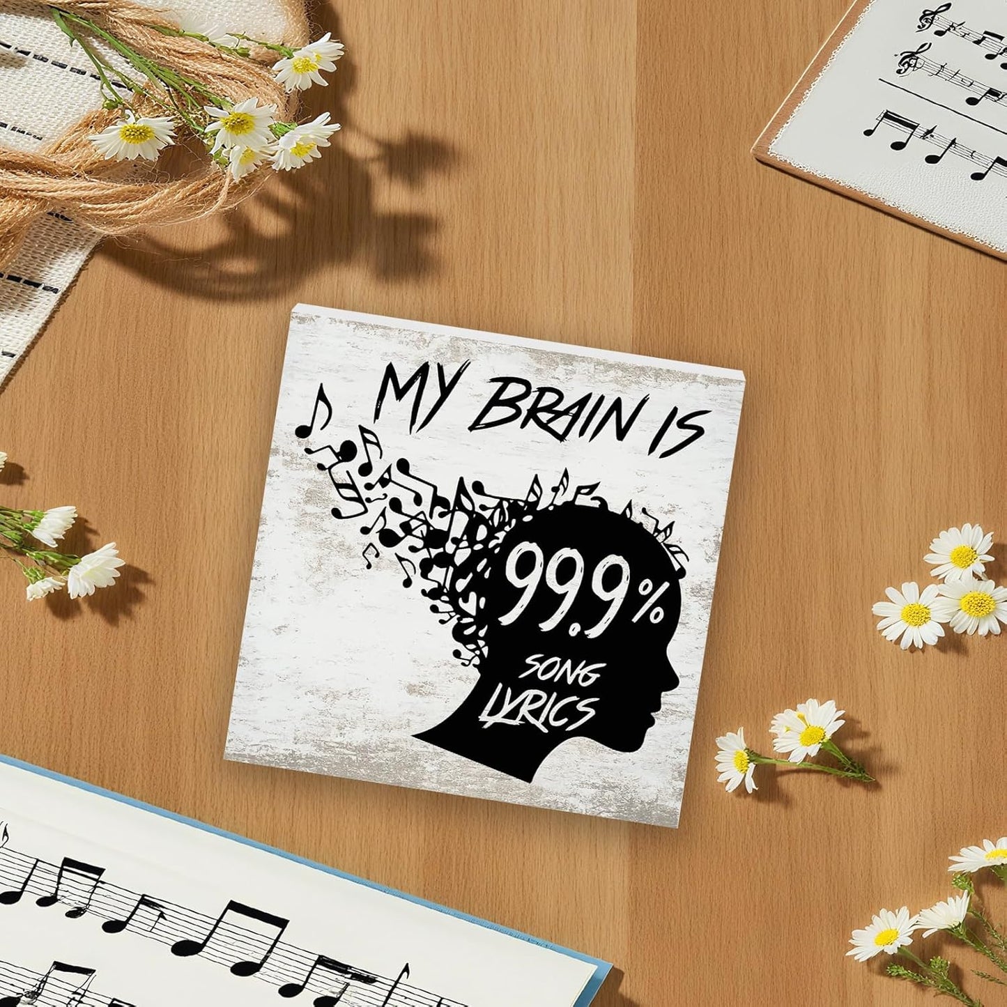 Music Desk Sign for Home Office Classroom, Musical Decor Room Decorations Accessories for Women Men Teacher, Table Shelf Musician Gift, My Brain Is Song Lyrics