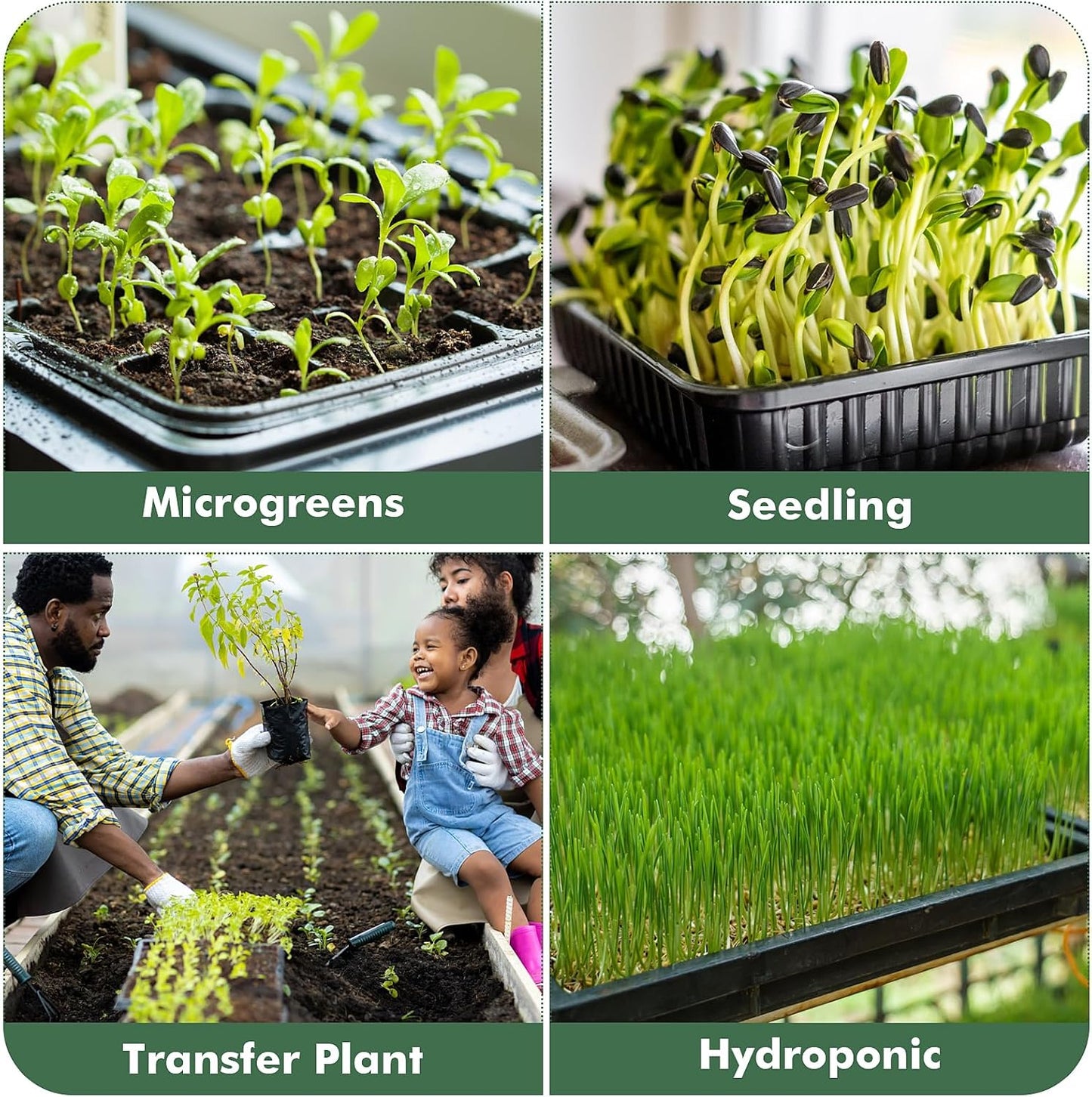 Sckee Upgraded 10 Pack Plant Growing Trays Seed Starting Tray Microgreens Growing Trays Seedling Plant Germination Starter Tray Transplant Fodder Flats, No Holes, No Leakage, Reusable (1017)