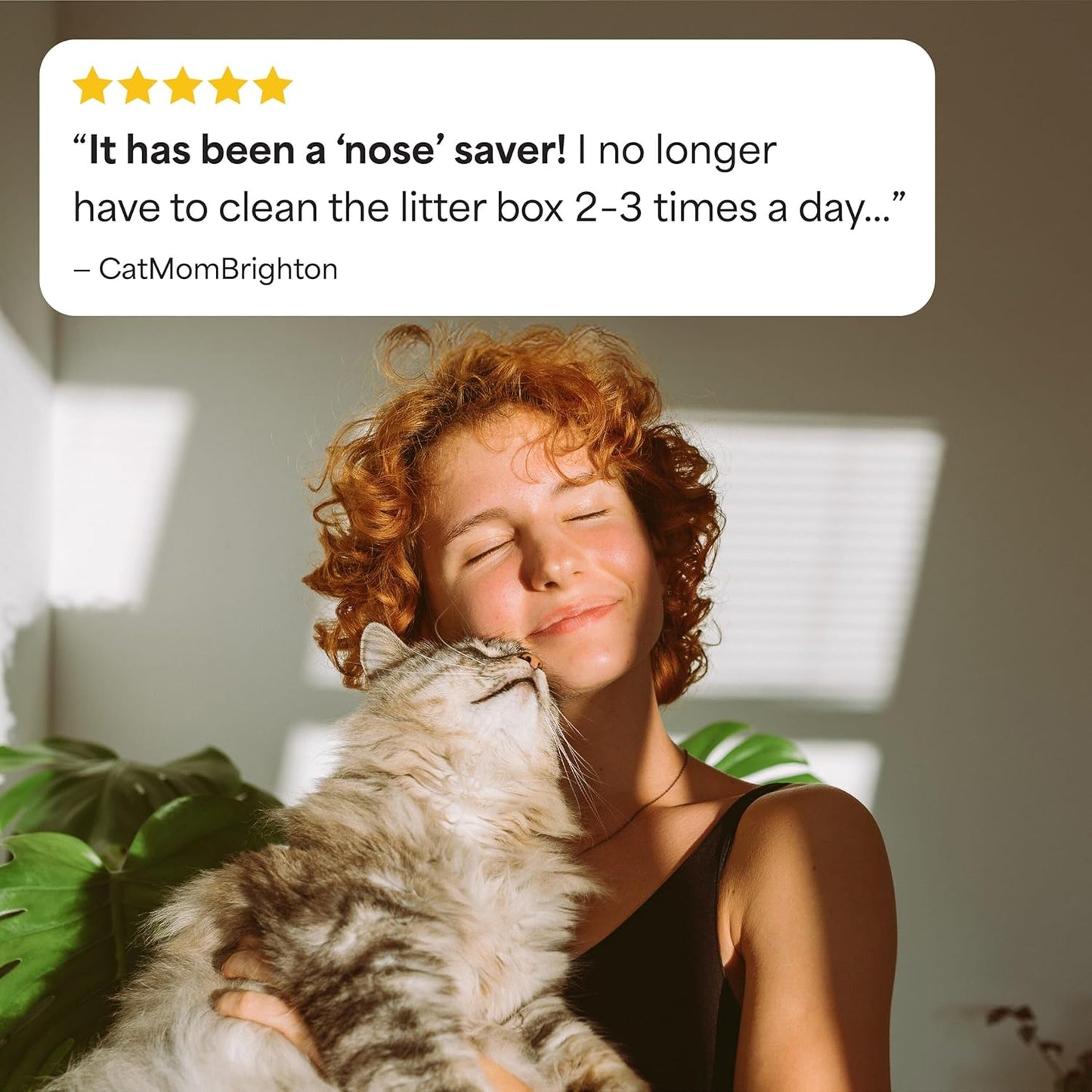 Fresh Step Advanced Odor Shield Multi Cat Clumping Litter with Febreze Freshness, Low Dust, Odor Control with Ammonia Block Tech, Compatible in Automatic Litter Boxes, 37 lb. (2 x 18.5 lb.)