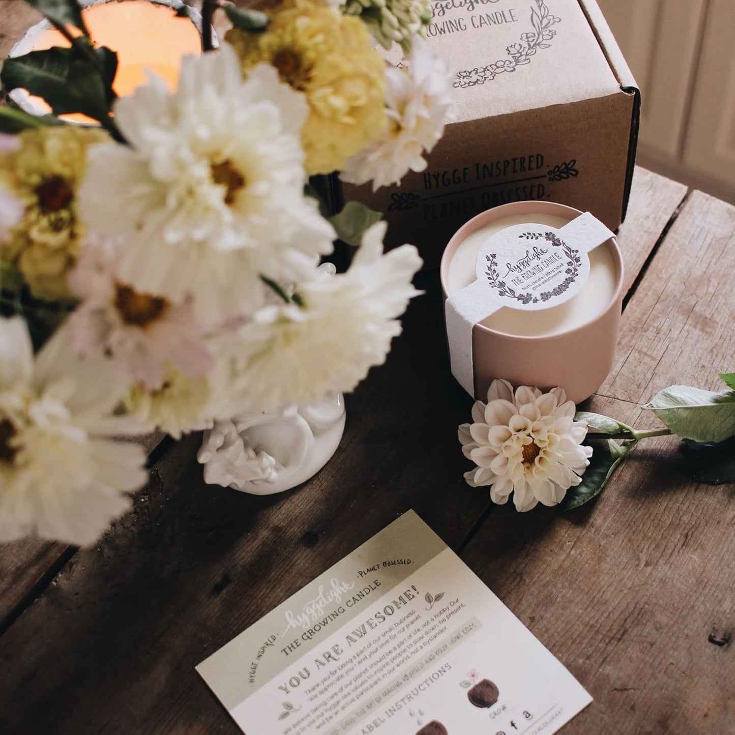 Hyggelight - The Growing Candle, Mint & Eucalyptus Scented, 8oz Ceramic Pot, Aromatherapy Candles, 100% Soy, Adelyn