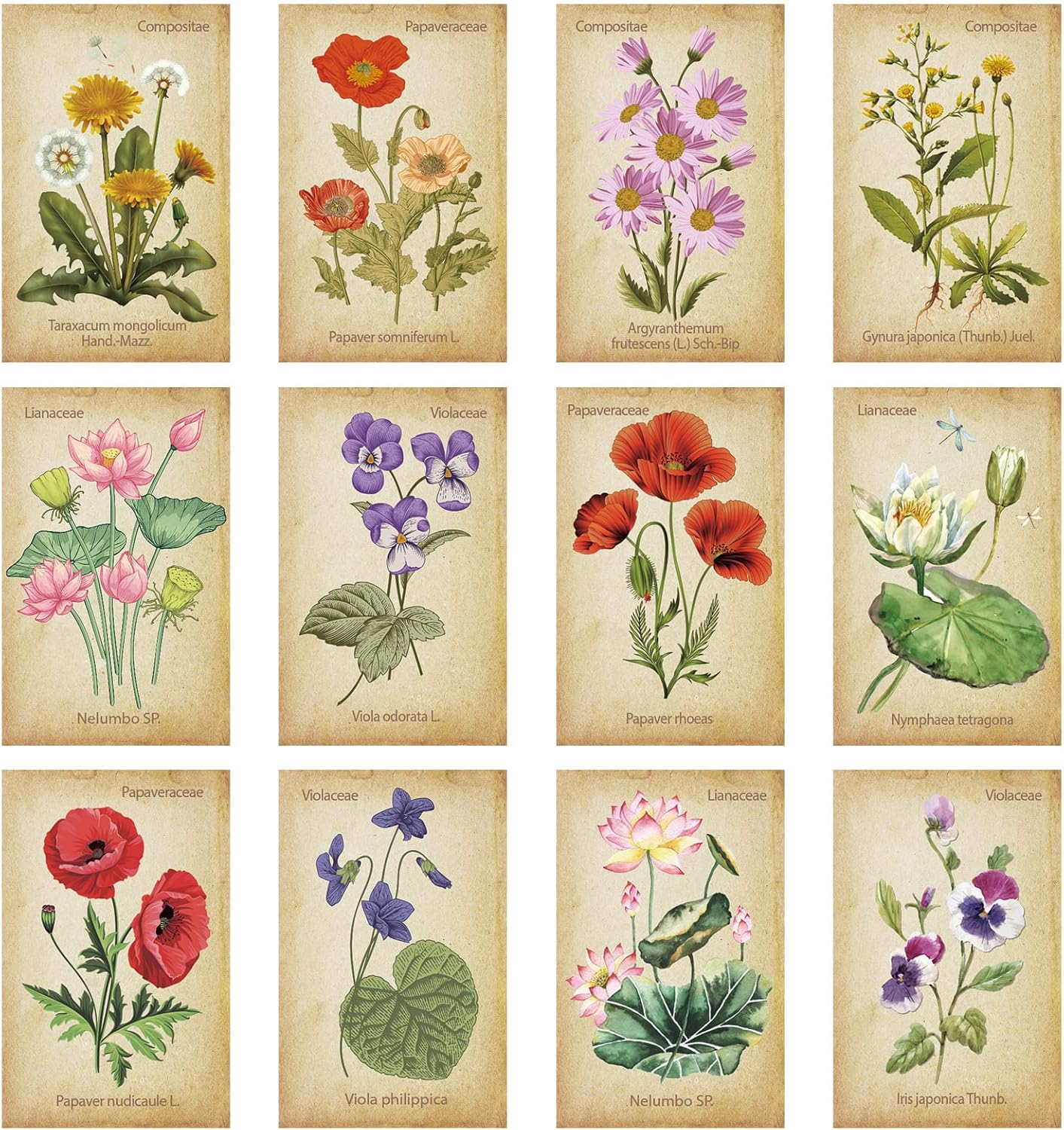 Outus 24 Pcs Floral Magnetic Bookmarks for Women Vintage Flower Book Markers Assorted Botanical Bookmarks Clips Page Markers Birthday Gift for Books Lovers Students Teachers Counselor