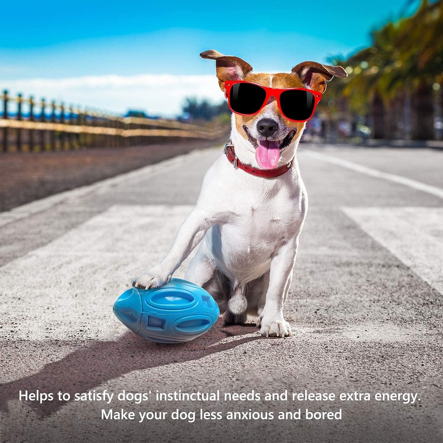 EASTBLUE Squeaky Dog Toys for Aggressive Chewers: Rubber Puppy Chew Ball with Squeaker, Almost Indestructible and Durable Pet Toy for Medium and Large Breed