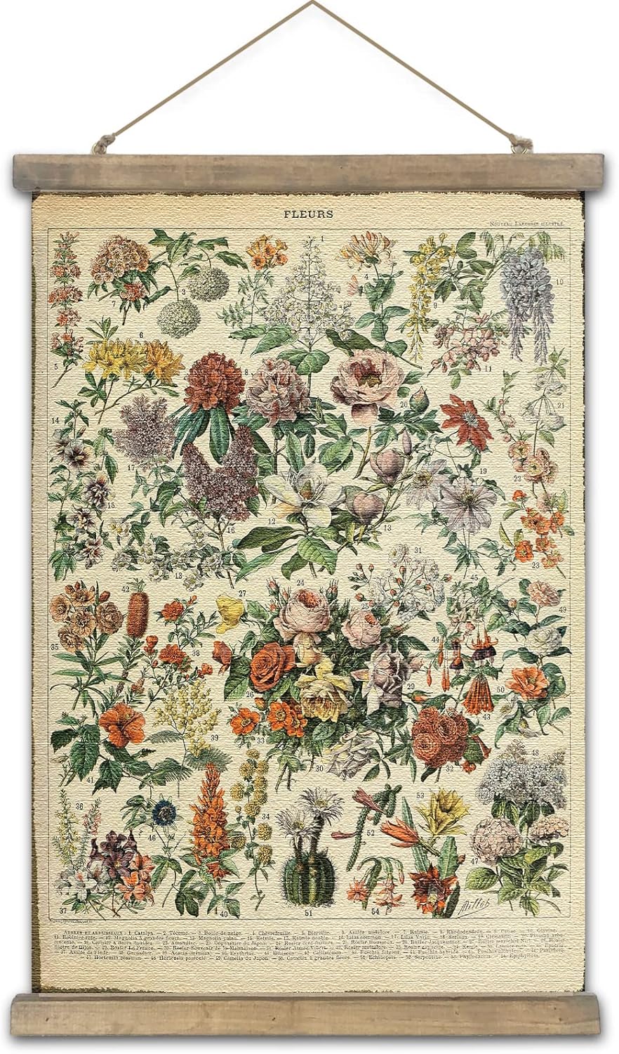 SHOXREM Vintage Poster,Rustic Art Prints, Retro Style of Wall Hanging for Living Room Office Classroom Bedroom Playroom Apartment Decor. (Botany of Flower 1Panels, 16“ x 24”)