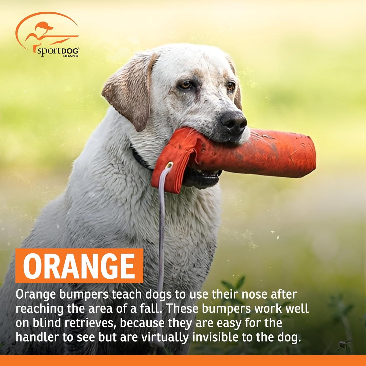 SportDOG Canvas Dummies - Hunting Dog Training Tool - Game Scent Absorber - Water-Ready Bumper - Durable Field Dummy - Weighted Toy - Puppy Size - 2.25" W X 8.5" L - Orange