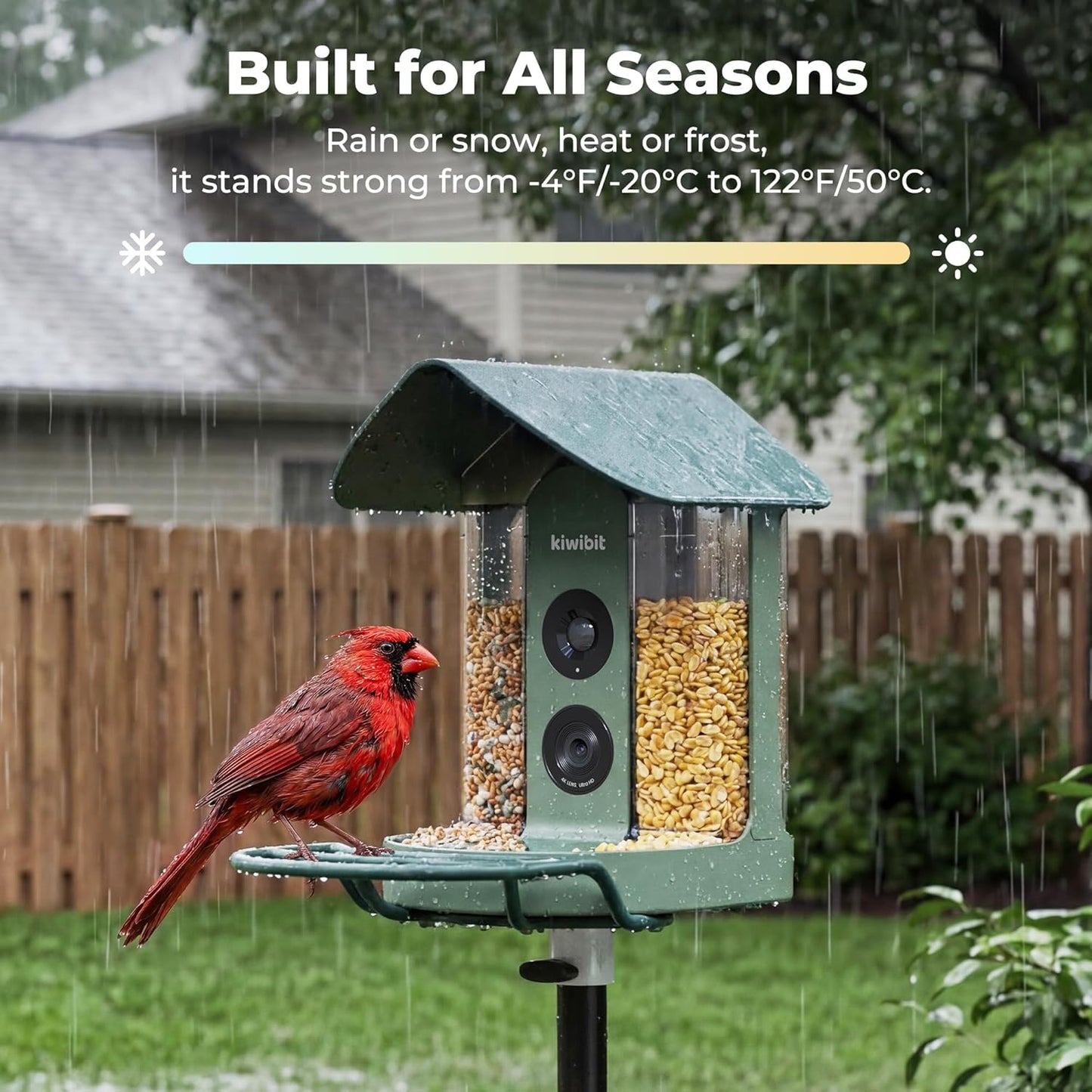 Smart Bird Feeder 4K AI Camera With Solar Panel For Outdoors, Bird Species Identification, 8MP Photos, 4K Video Livestream, Real-Time Bird Alerts, Birdwatching Gifts For Bird Lovers, Sage Pine