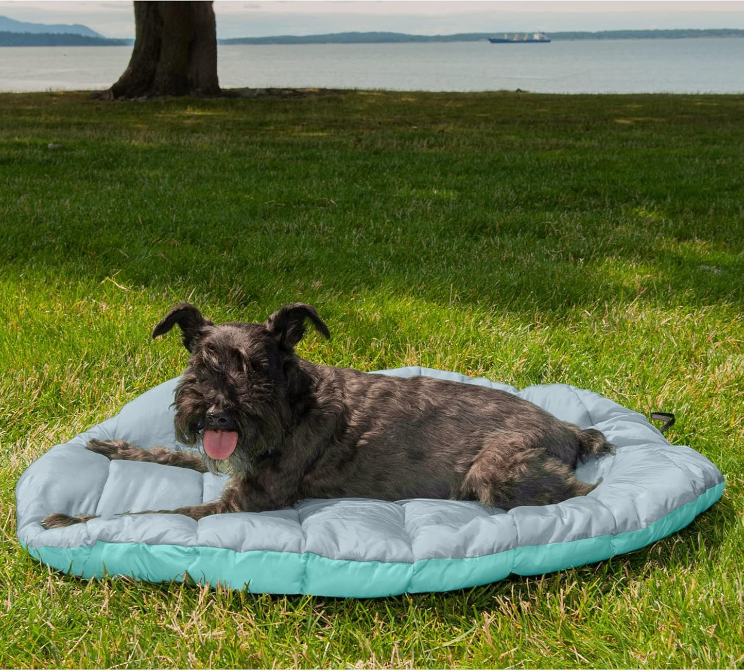 Furhaven Outdoor Travel Dog Bed for Small Dogs w/ Carry Bag, Washable & Foldable, Great for Crates & Kennels - Trail Pup Travel Pillow Mat w/ Stuff Sack Bag - Aqua/Granite Gray, Small