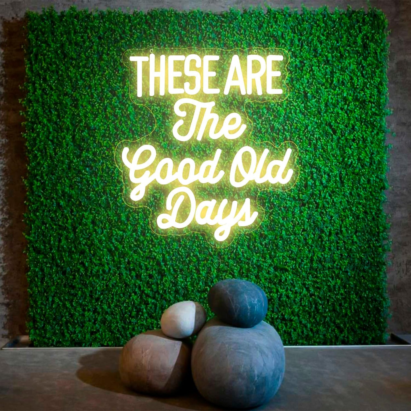 These Are The Good Old Days Neon Sign Dimmable Neon Signs for Wall Decor Inspirational LED Signs USB Light Up Sign for kids Girl Boy Room Wall Decor Nursery Bedroom Playroom Decoration Essentials