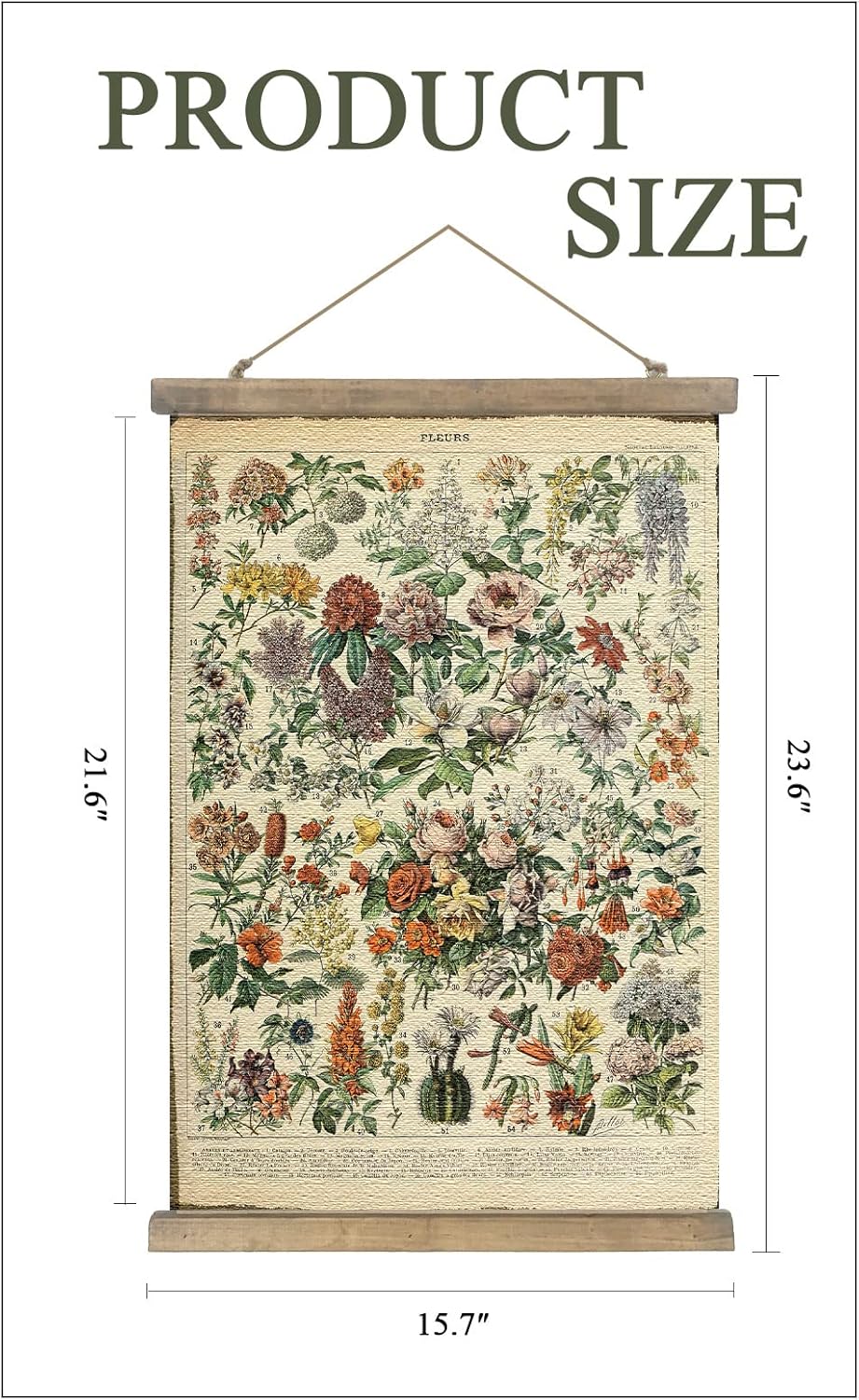 SHOXREM Vintage Poster,Rustic Art Prints, Retro Style of Wall Hanging for Living Room Office Classroom Bedroom Playroom Apartment Decor. (Botany of Flower 1Panels, 16“ x 24”)
