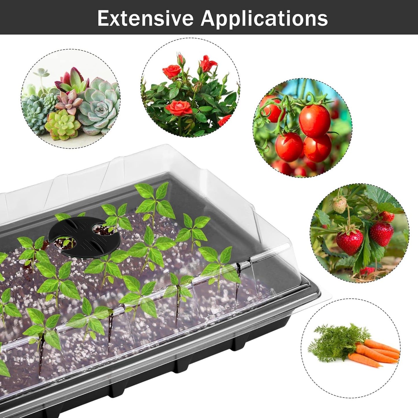 6 Pack Seed Starter Tray Kit with 120 Square Peat Pots for Seedlings, Including Plants Labels, Planting Tools, Growing Trays Plastic Germination Tray Paper Starter Pods for Plant Seeds, Black